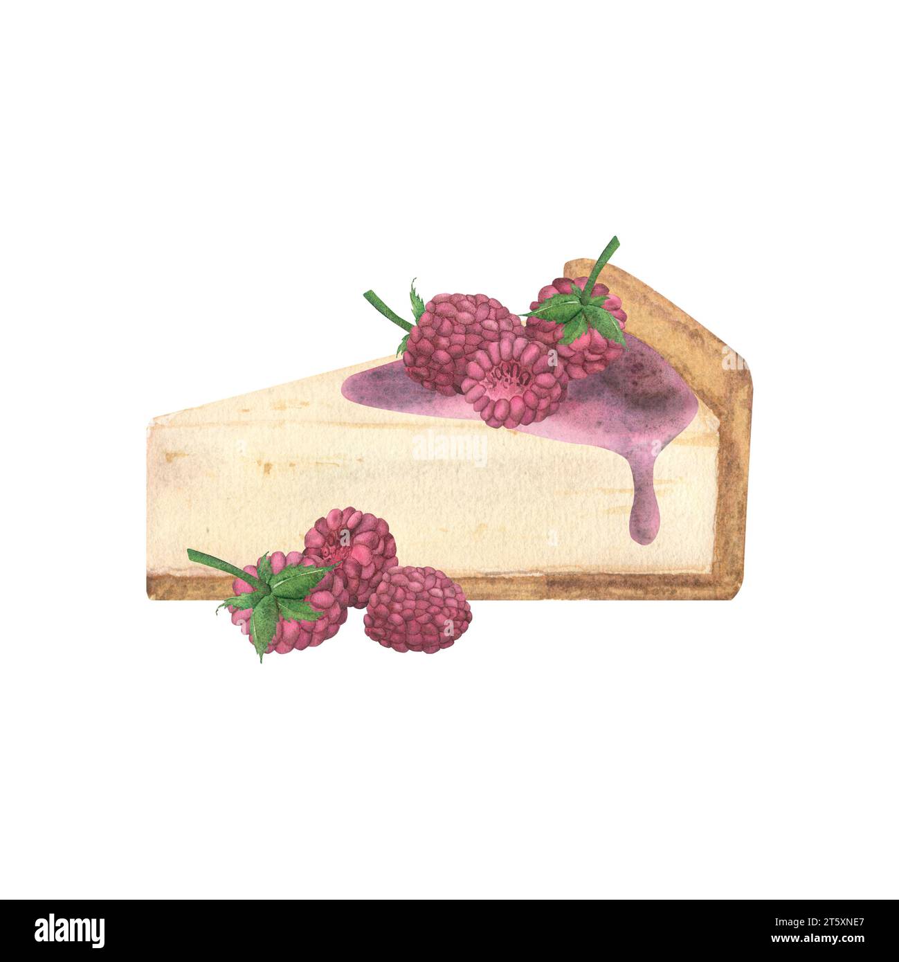 Un morceau de tarte au fromage, cheesecake au sirop et framboises sur fond blanc. Illustration à l'aquarelle dessinée à la main. Modèle pour la conception de menu Banque D'Images