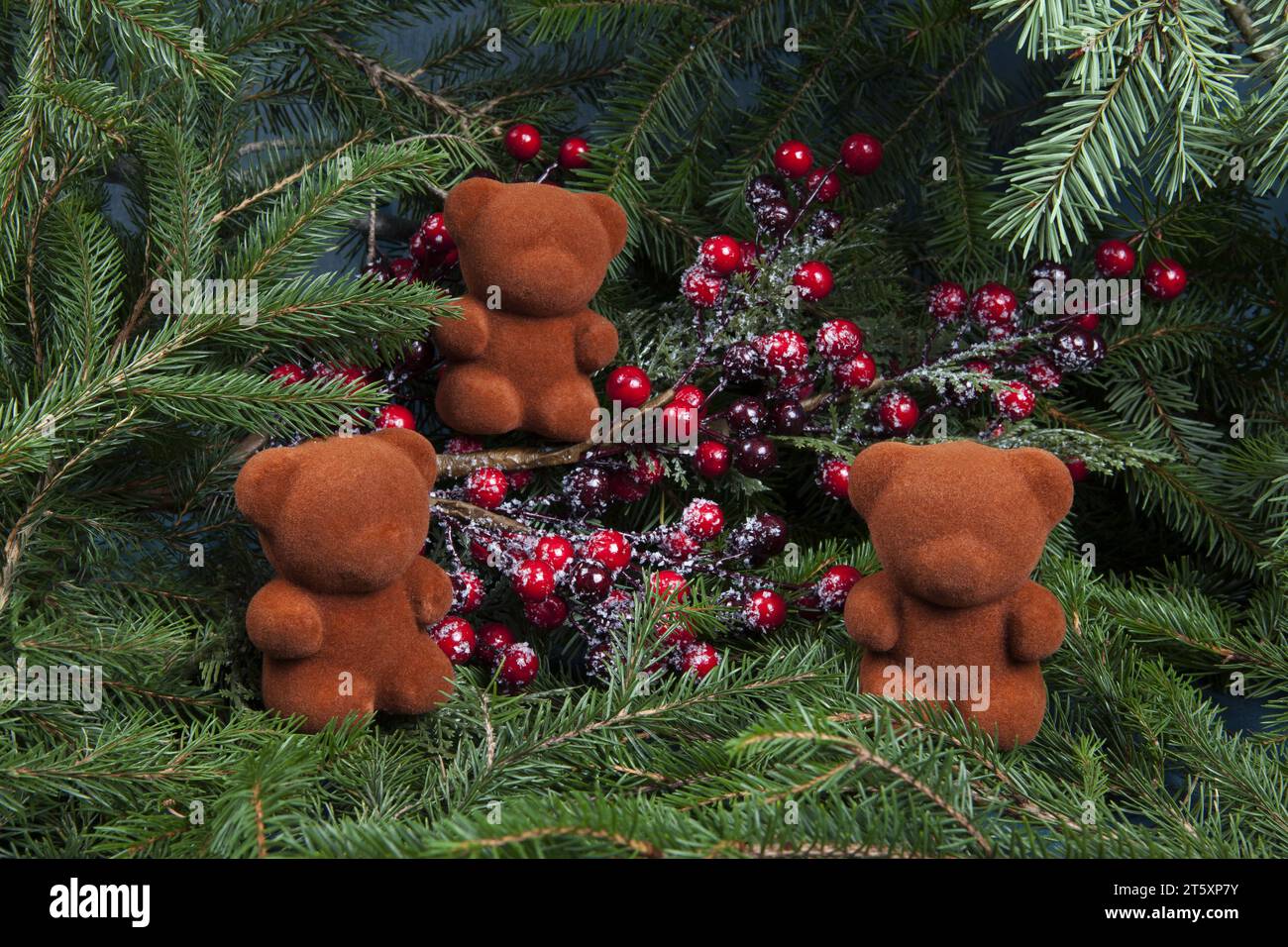 composition de trois ours placés sur une branche de houx et ses baies rouges placées sur un épais tas de branches de sapin. Un mélange de couleurs symboliques de Noël : RE Banque D'Images