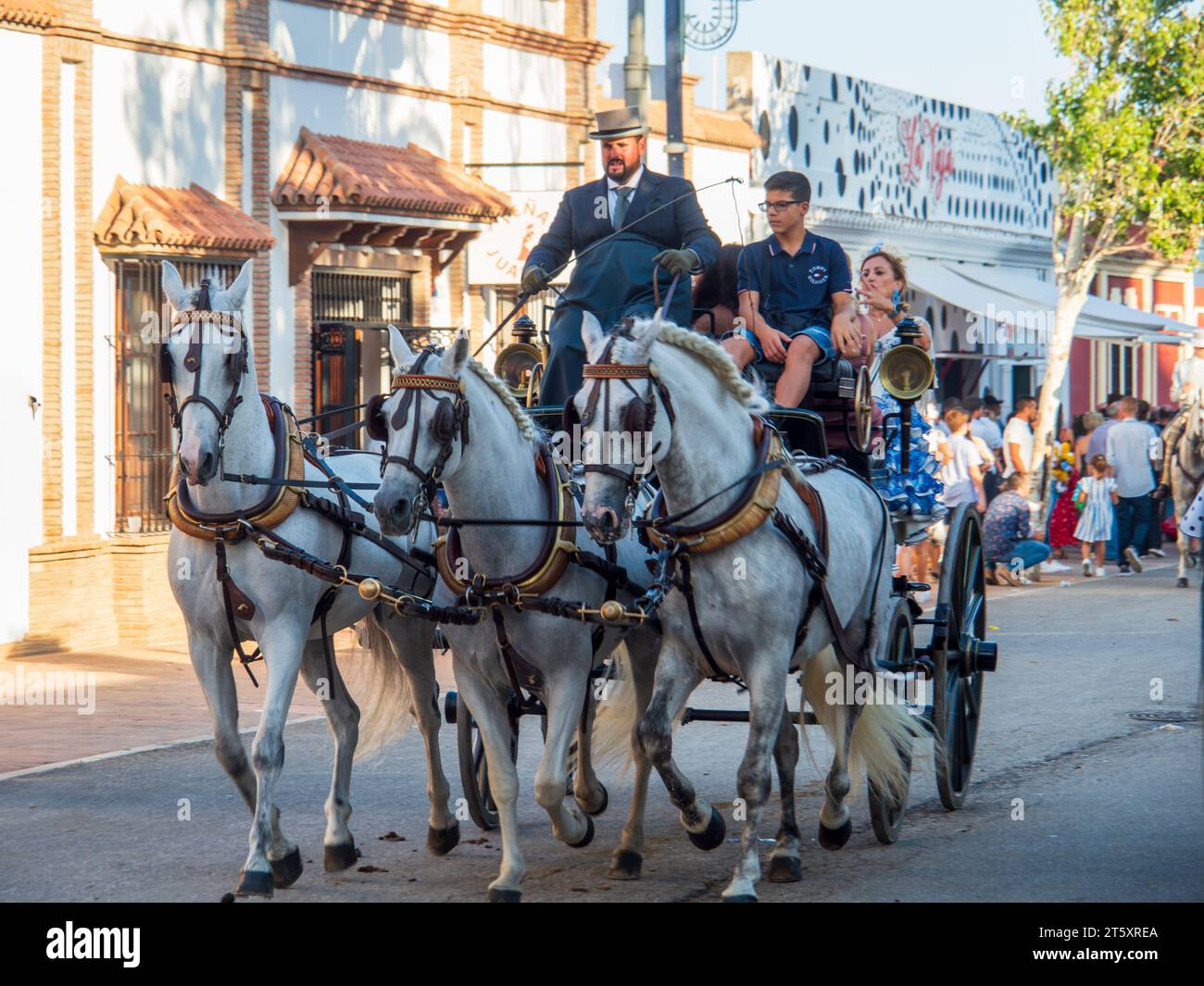 Groupes de cavaliers vêtus de costumes andalous typiques, chevauchant à travers le parc des expositions de Fuengirola pendant la célébration de la Feria Banque D'Images