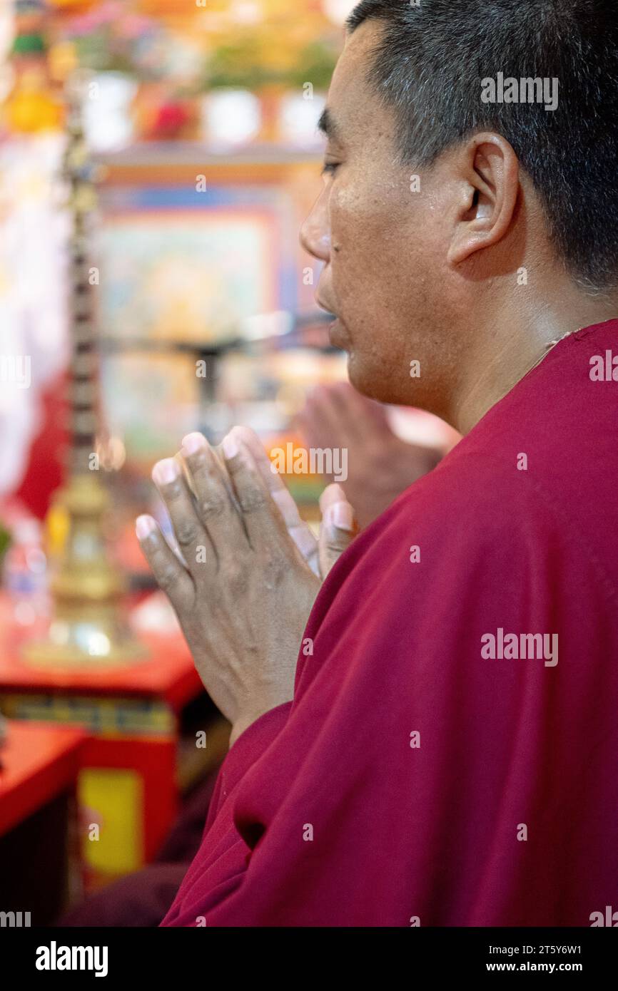 Un moine bouddhiste népalais pieux prie et médite avec ses mains serrées. Au temple Sherpa Kyidug à New York. Banque D'Images