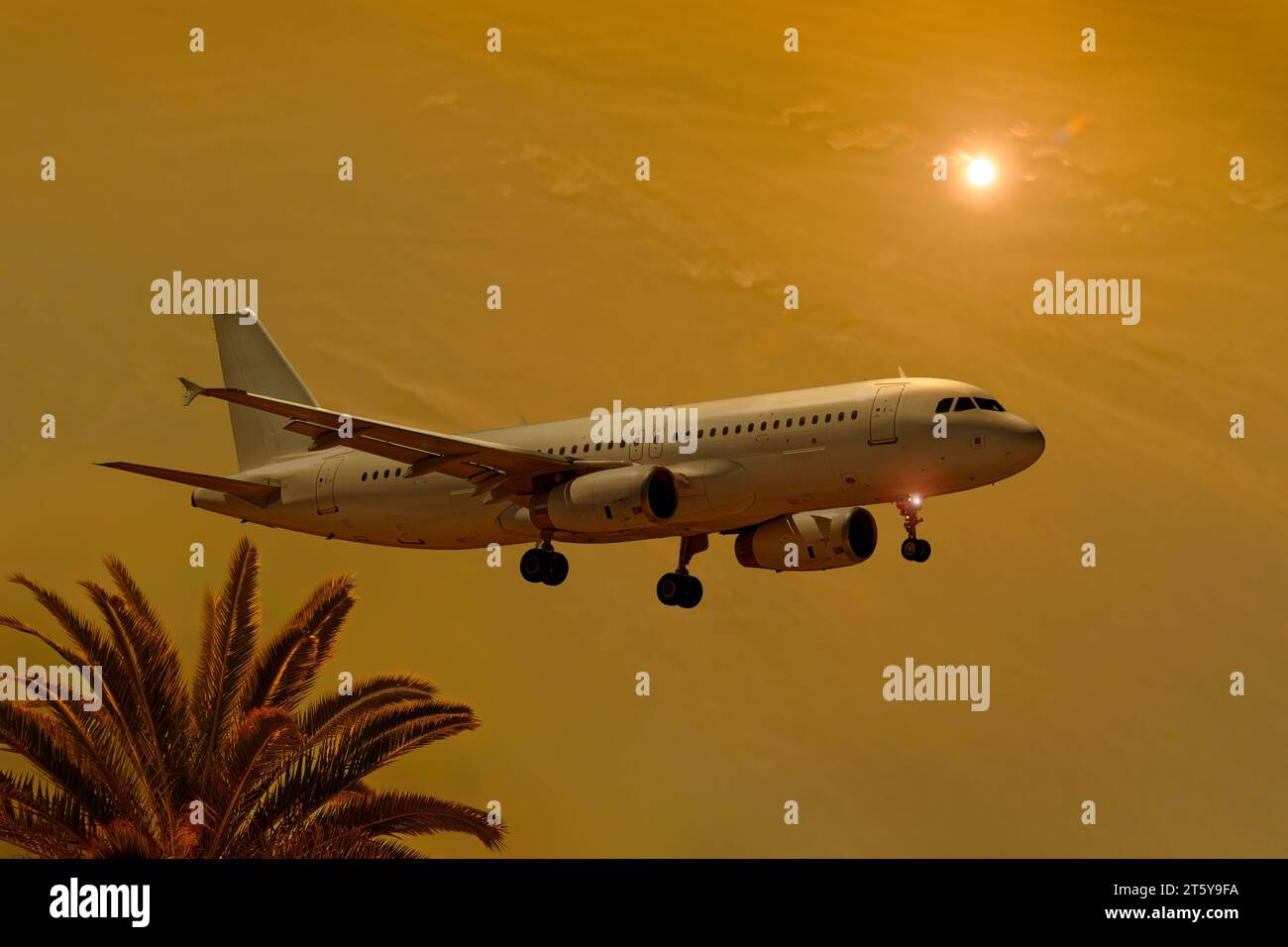 Avion atterrissant vers le coucher du soleil. Livraison gratuite Airbus A320-200. Banque D'Images