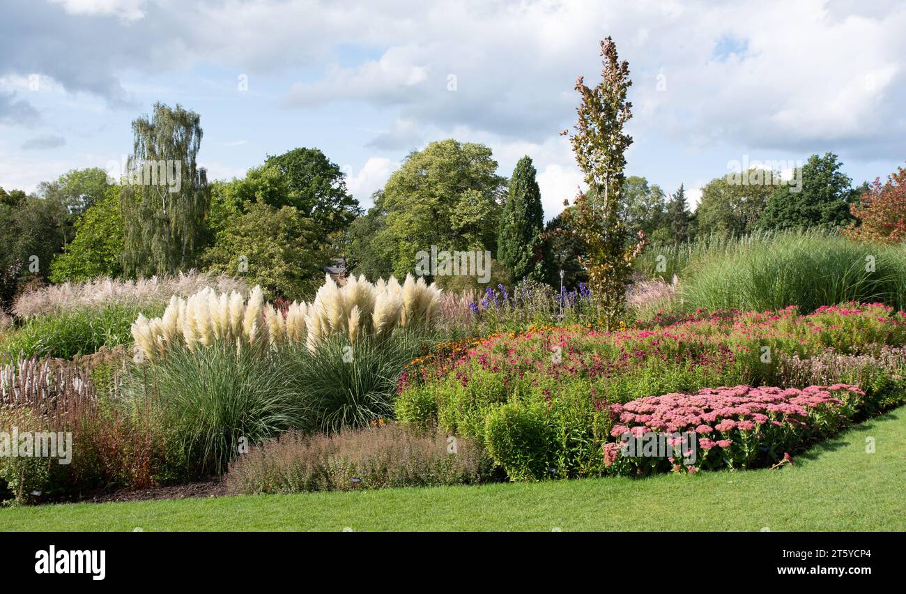 Island bed RHS Harlow Carr Banque D'Images