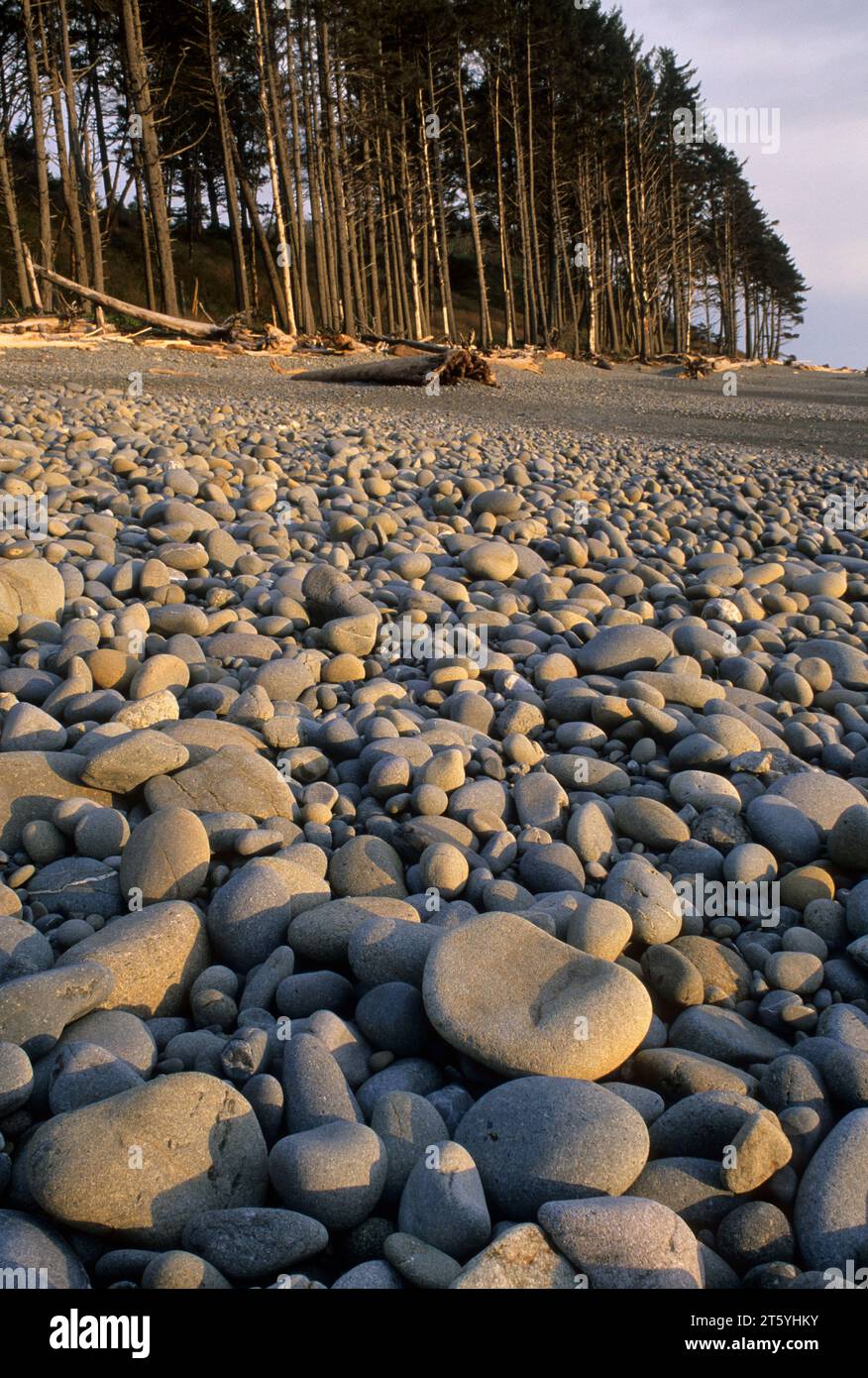 Ruby Beach, Olympic National Park, Washington Banque D'Images