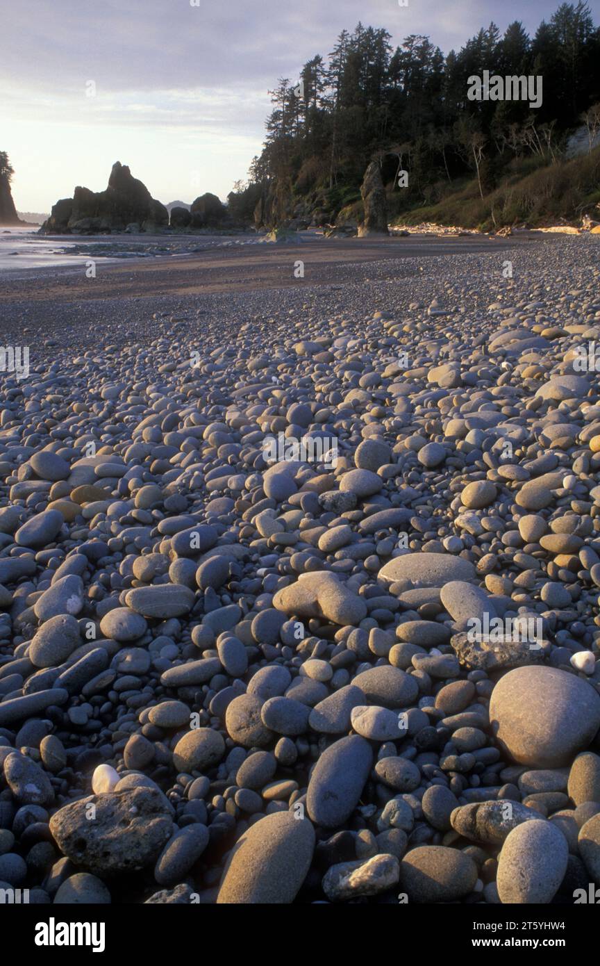 Ruby Beach, Olympic National Park, Washington Banque D'Images