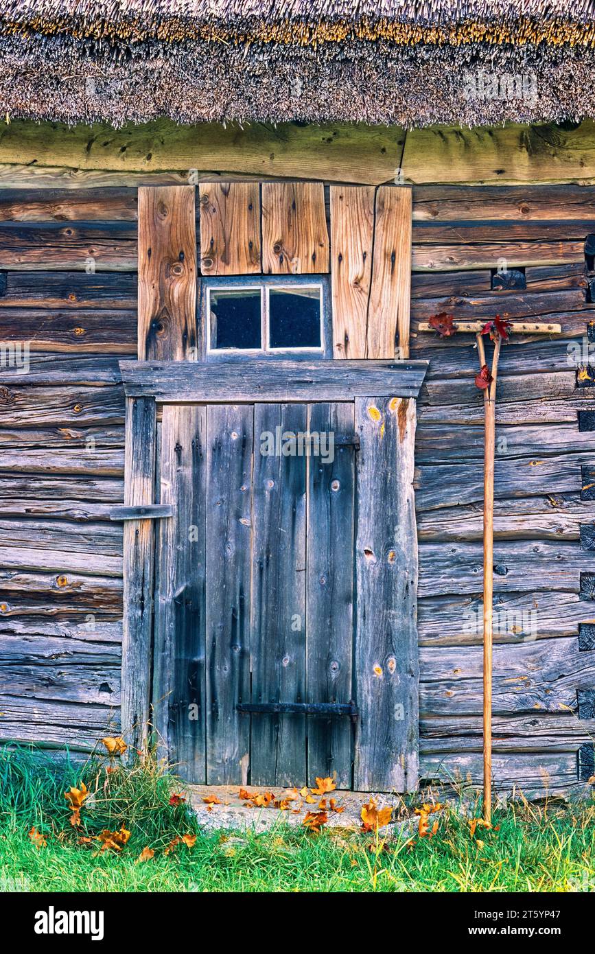 Ancienne grange en rondins avec toit de chaume et râteau près de la porte en automne, Suède Banque D'Images