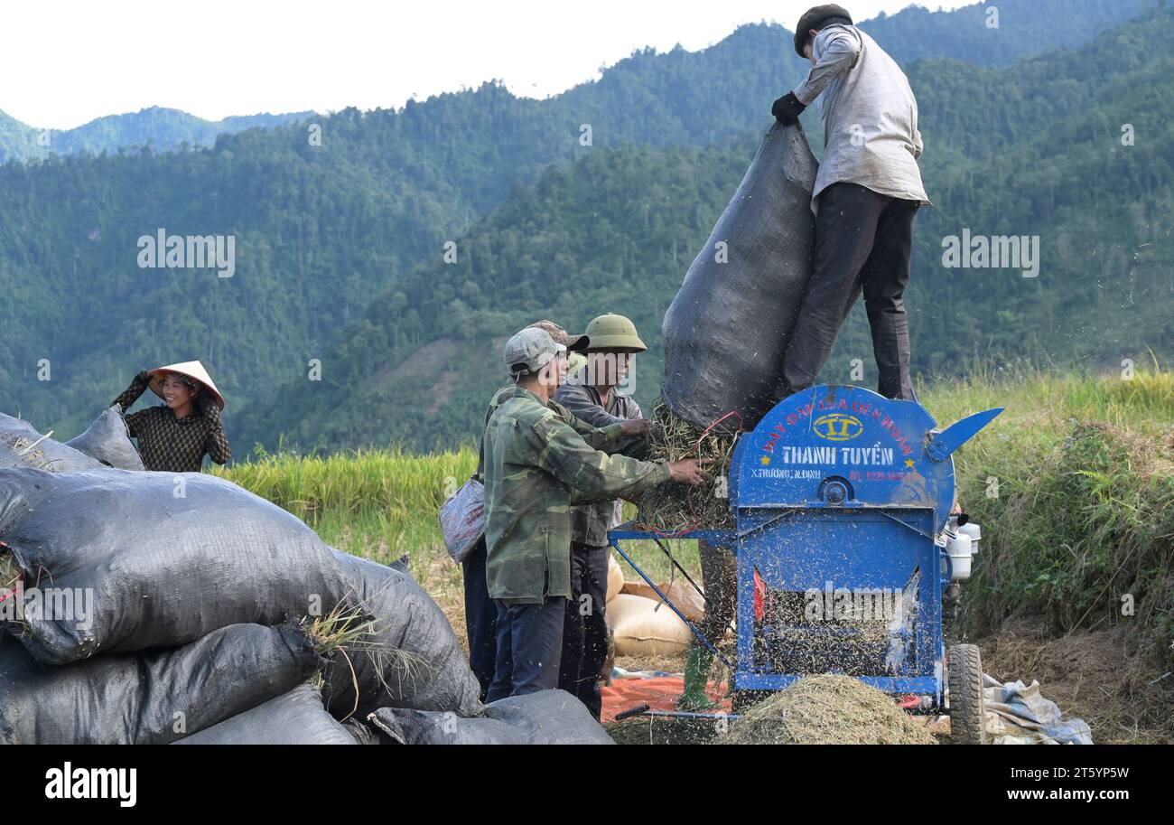 VIETNAM, province de yen Bai, Nam Lanh, groupe ethnique Dao, fermier battre le riz après la récolte avec la machine / Ethnie Dao, Bauern dreschen Reis nach der Ernte Banque D'Images