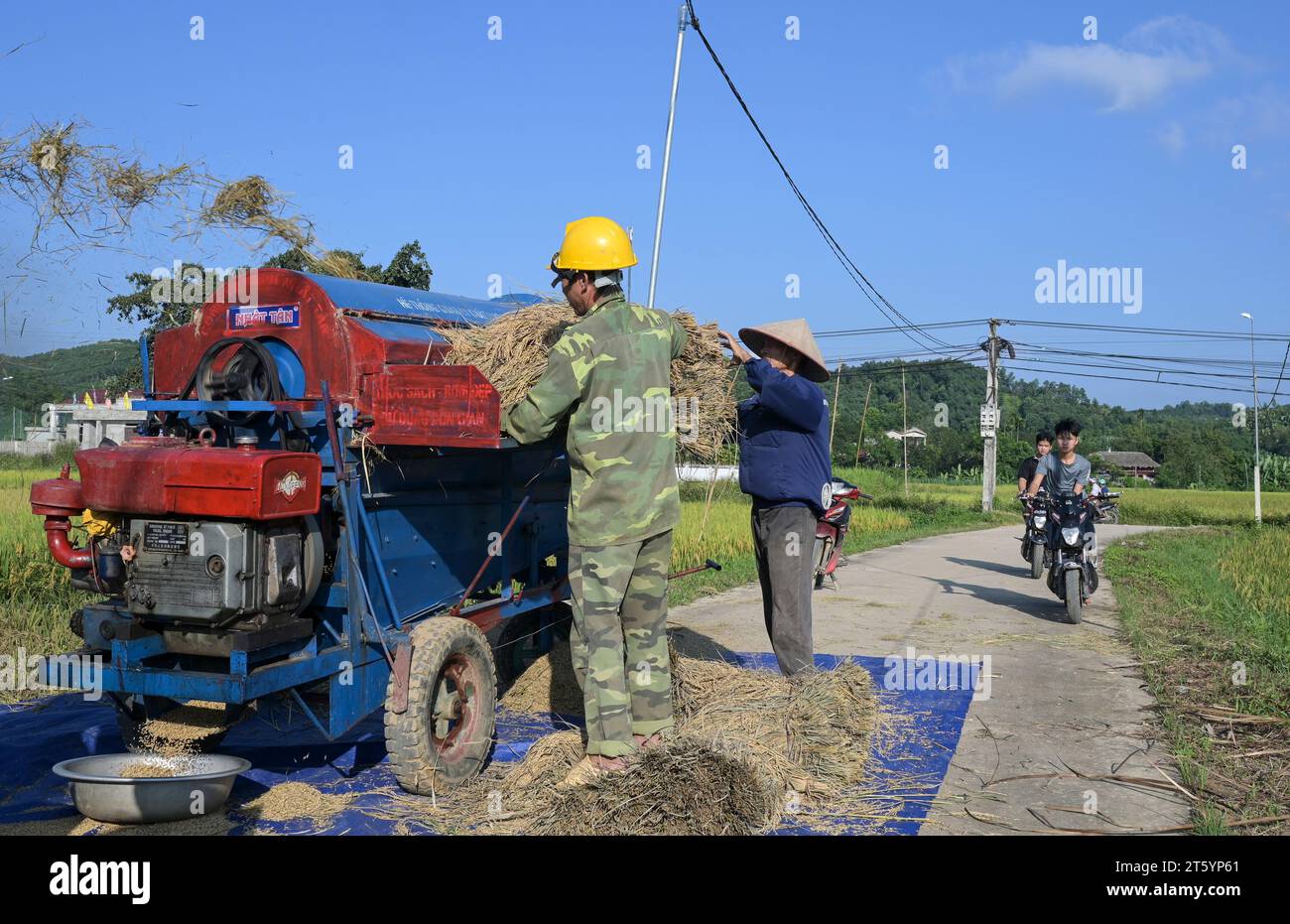 VIETNAM, province de yen Bai, Cam Nhan, fermier battre le riz après la récolte avec une petite batteuse mobile / Gemeinde Cam Nhan, Dreschmaschine für Reis, Kleinbauern dreschen Reis nach der Ernte Banque D'Images