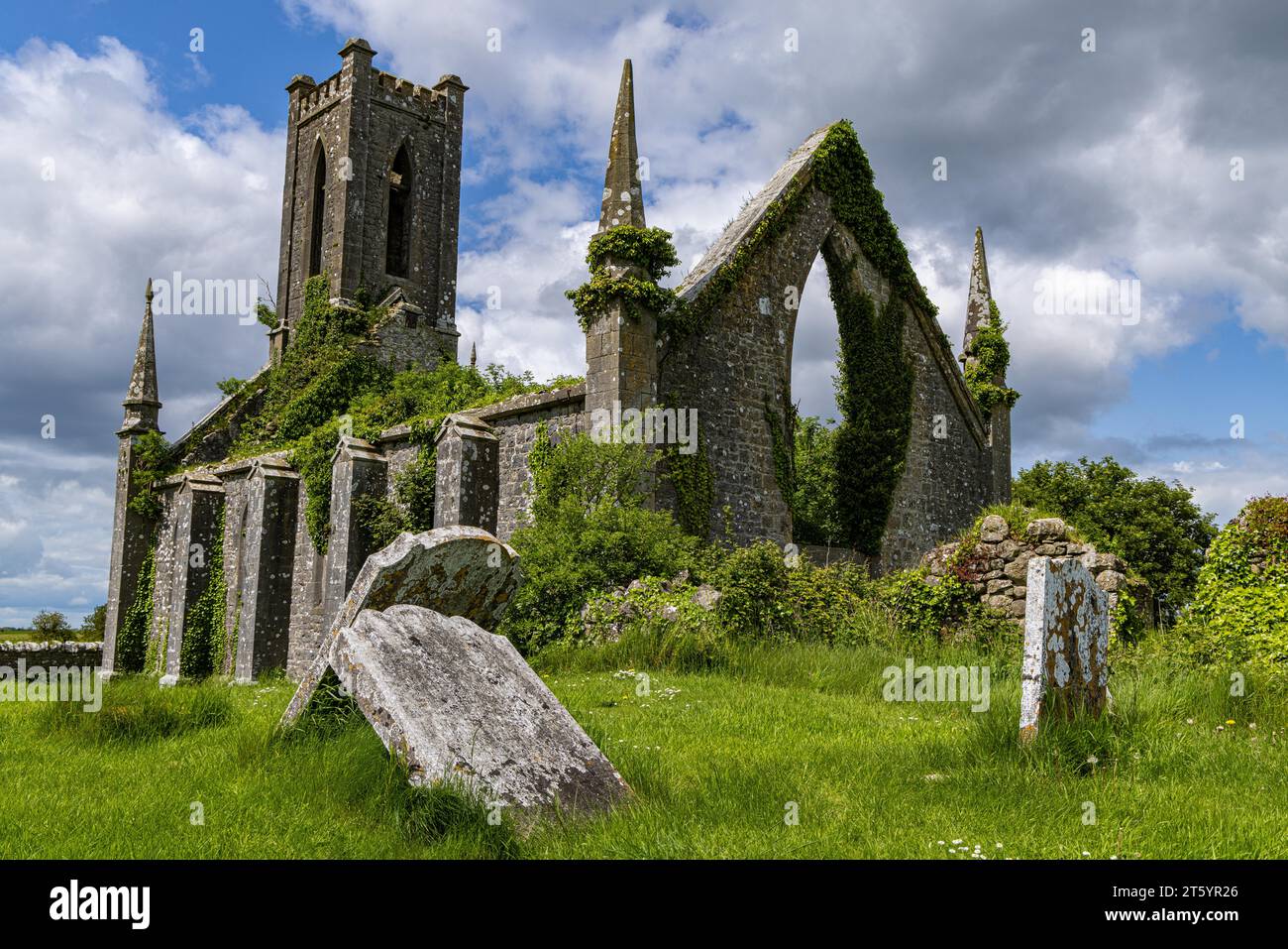 Ruine de l'église Ballynafagh, comté de Kildare, Irlande, Europe Banque D'Images