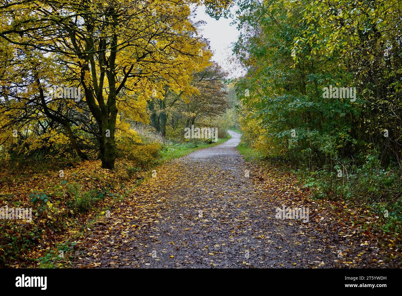 Le Sett Valley Trail, New Mills, Derbyshire en automne Banque D'Images