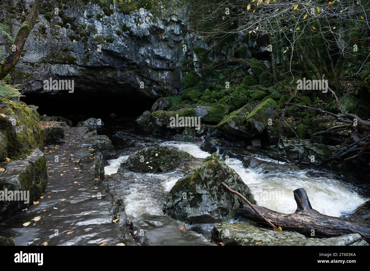 Afon Mellte entre à Porth yr Ogof, Bannau Brycheiniog Banque D'Images