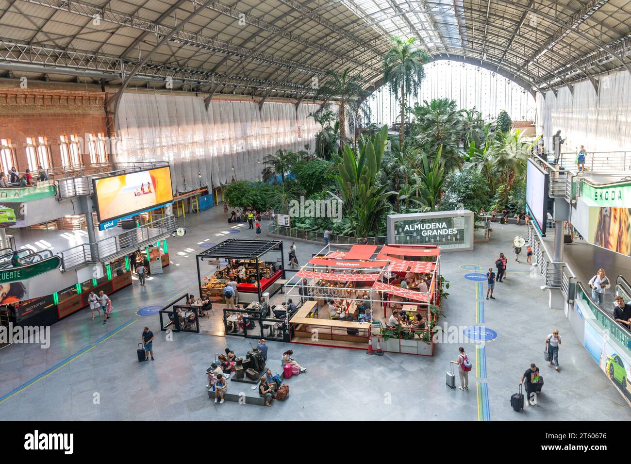 Jardín Tropical Estación de Atocha (jardin tropical d'Atocha), Puerta de Atocha, Retiro, Madrid, Royaume d'Espagne Banque D'Images