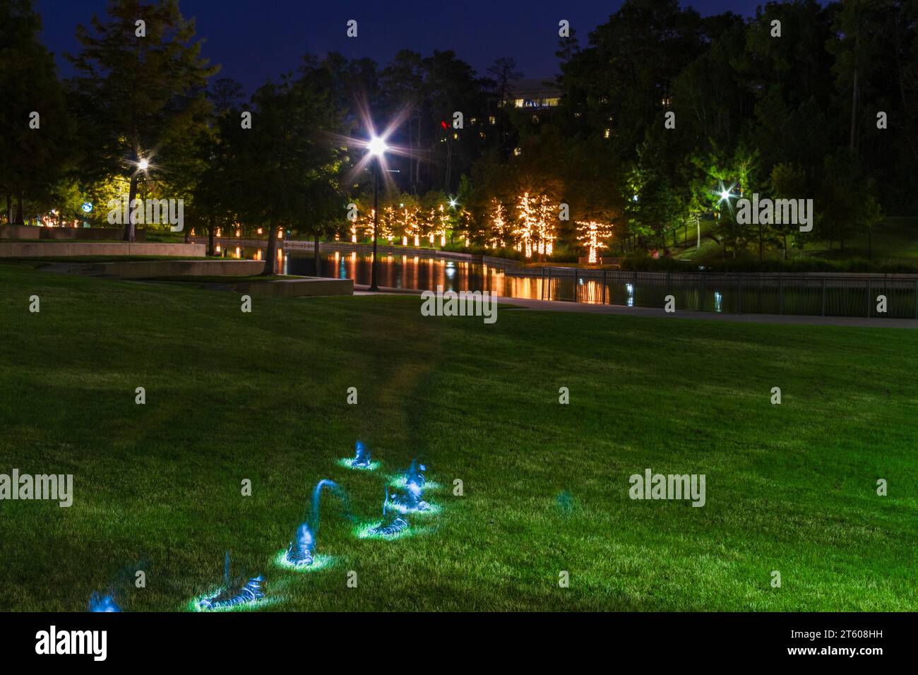 Photographie de nuit dans les Woodlands, Texas. Banque D'Images