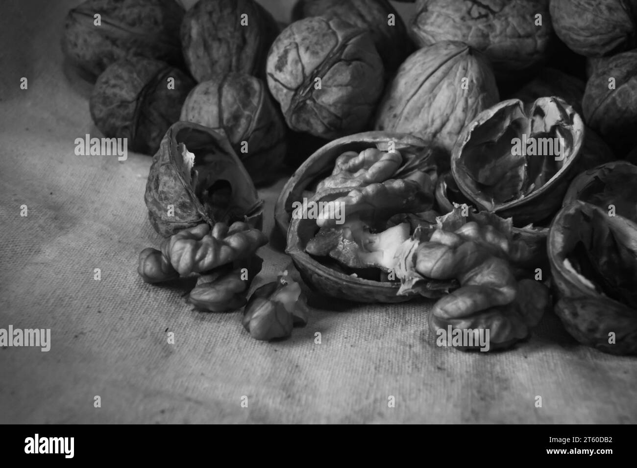 Noix de Grenoble Banque D'Images