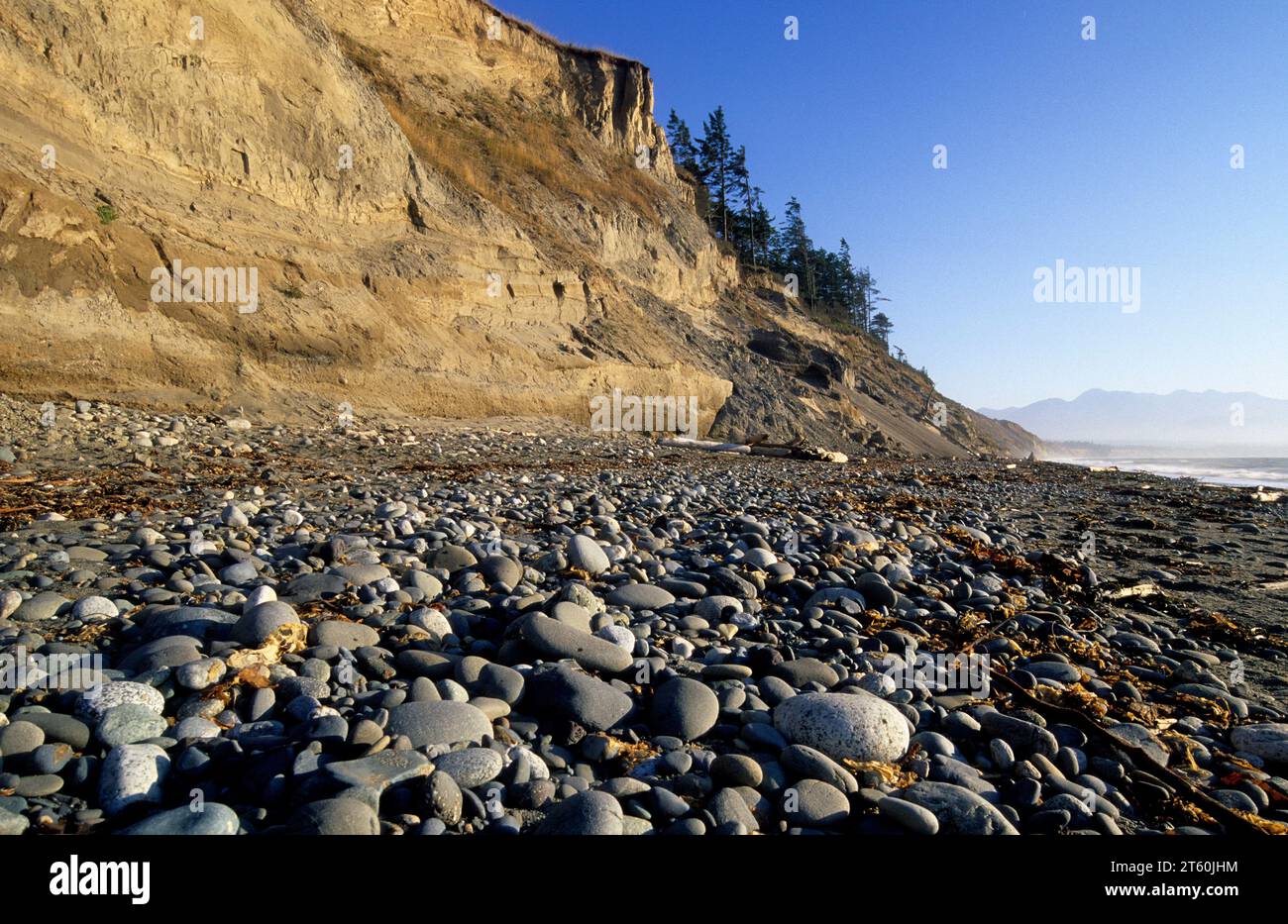 Cliff Beach, Dungeness National Wildlife Refuge, Washington Banque D'Images