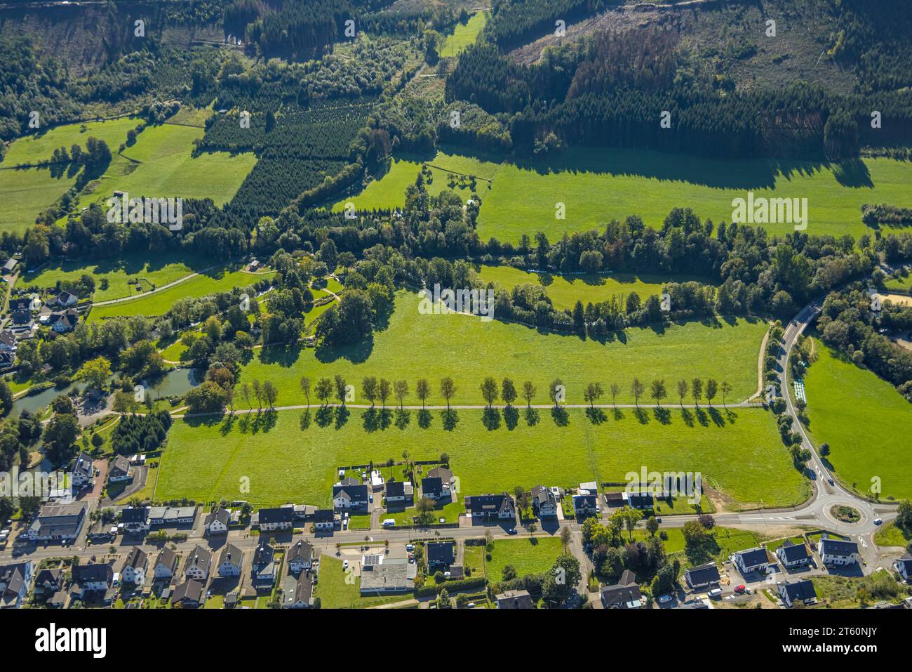 Vue aérienne, avenue bordée d'arbres Am Kurpark, Saalhausen, Lennestadt, Sauerland, Rhénanie du Nord-Westphalie, Allemagne, arbre, arbre sur prairie, Avenue des arbres, Banque D'Images