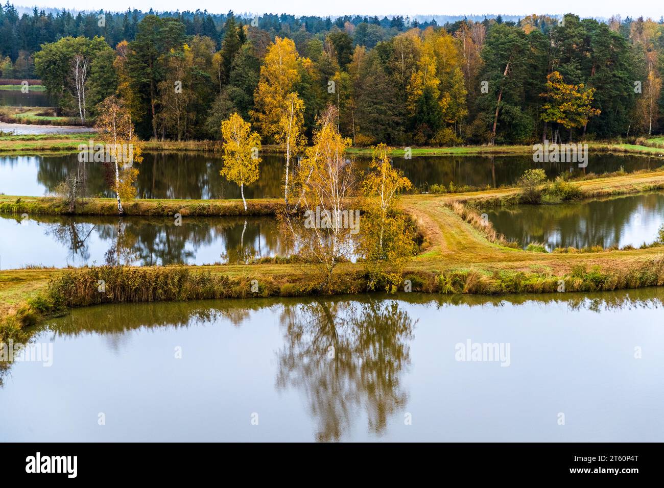 Bassin de Tirschenreuth et réserve naturelle Waldnaabaue dans la forêt du Haut-Palatinat. Vue sur l'ancien paysage culturel depuis la plate-forme d'observation 'Himmelsleiter'. Tirschenreuth, Allemagne Banque D'Images