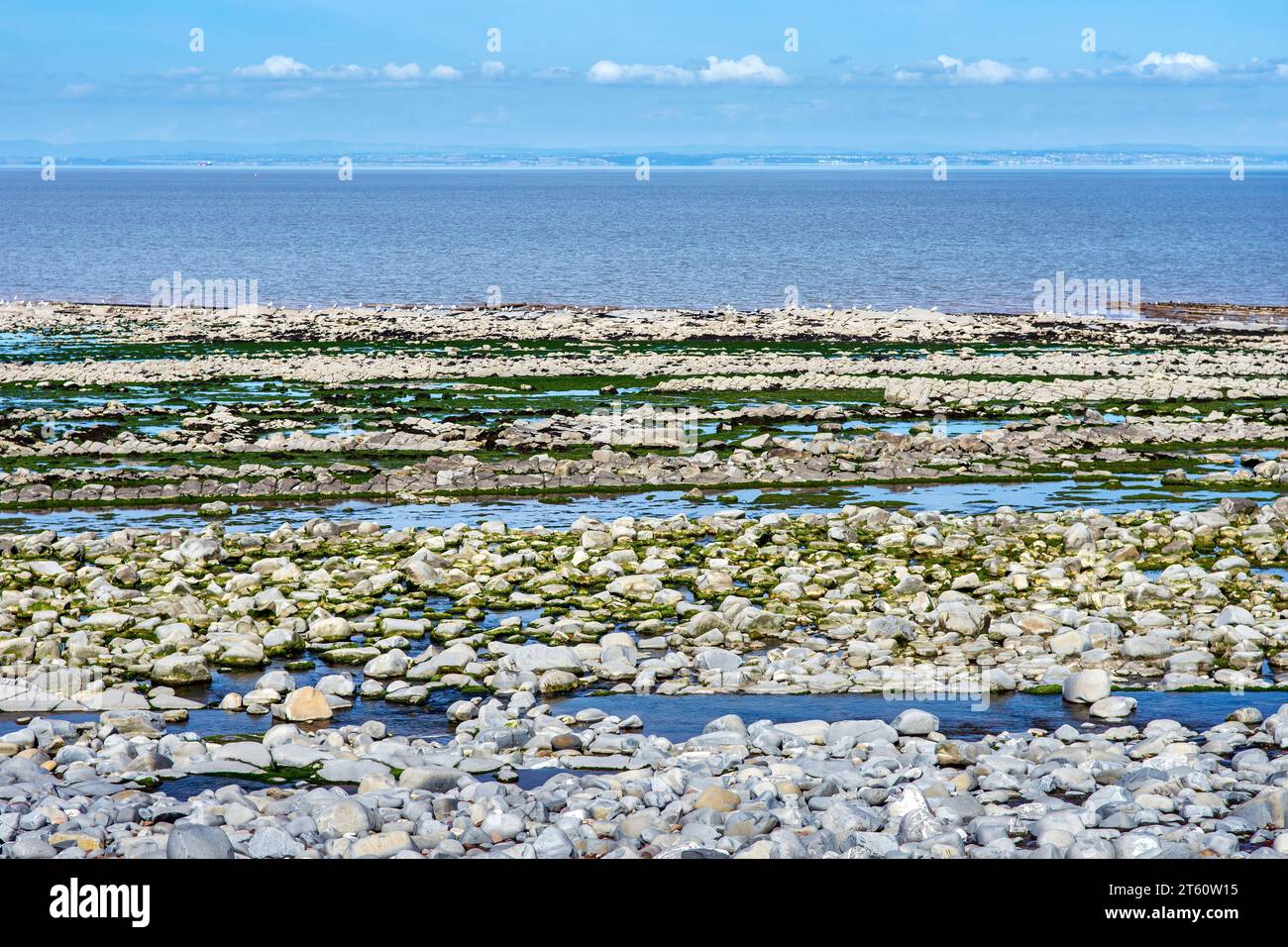 Kilve Beach et côte rocheuse, à Kilve, Quantocks, Somerset, Royaume-Uni par une journée ensoleillée. La plage est bien connue pour trouver des fossiles. Banque D'Images