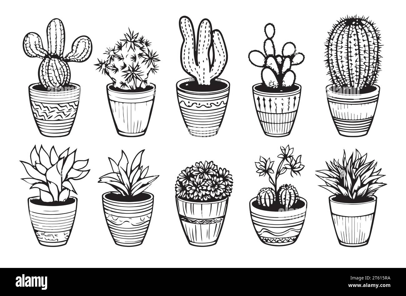 Ensemble de cactus dans des pots croquis illustration vectorielle dessinée à la main Illustration de Vecteur