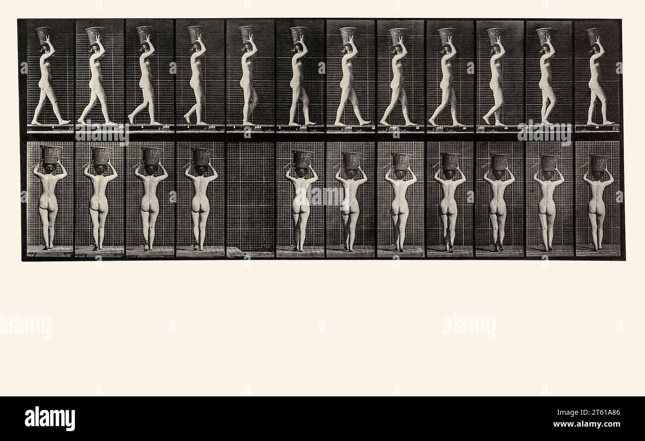 Eadweard Muybridge, locomotion animale : plate 34, 3e volume, femelles, nue, 1887, impression photomécanique collotype ; restaurée numériquement Banque D'Images