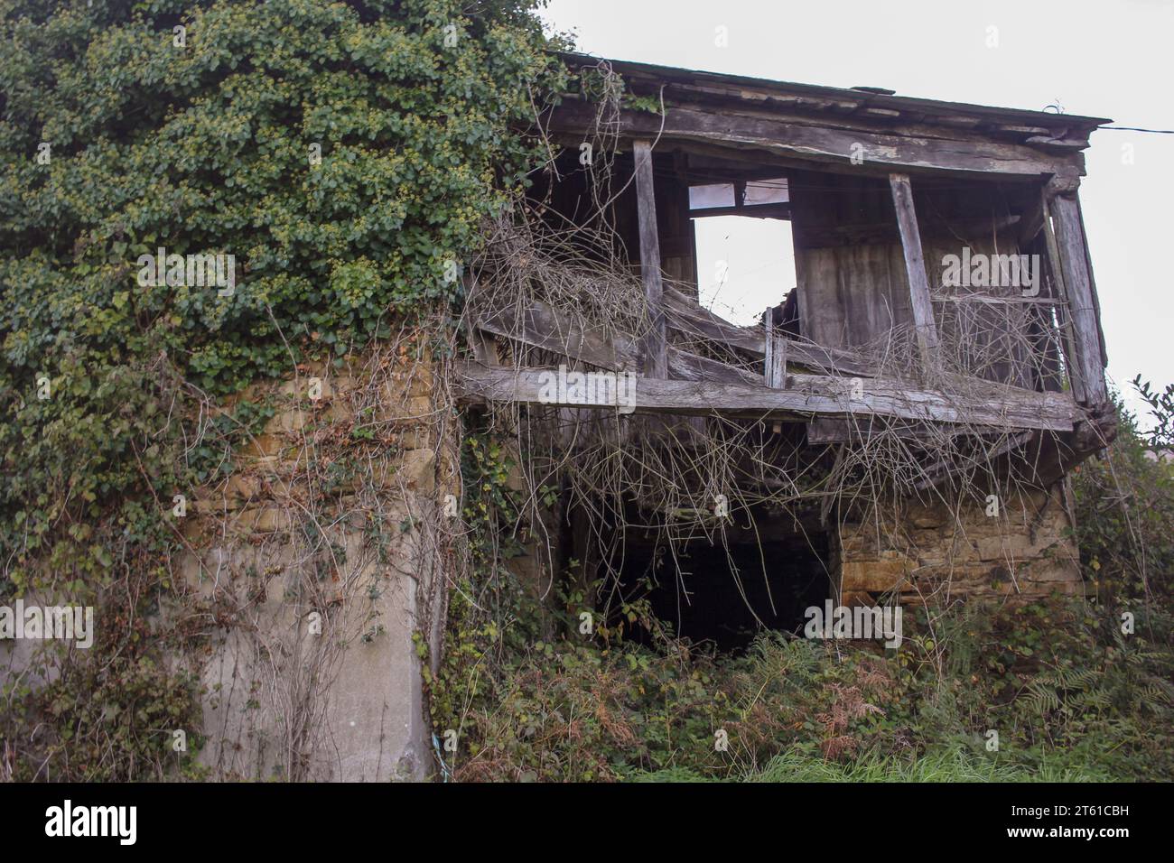 Maison abandonnée, abandonnée en Galice, Espagne Banque D'Images