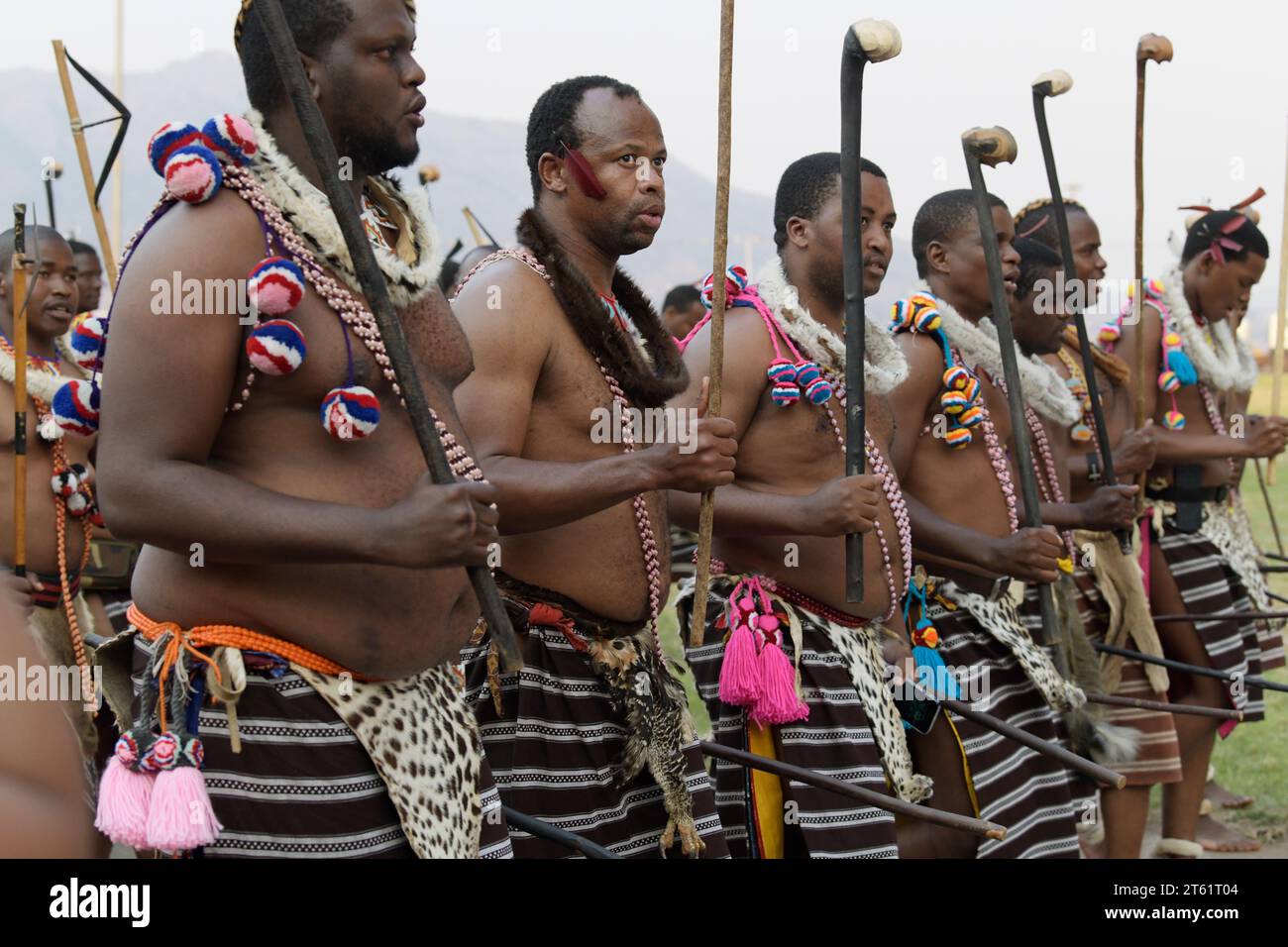 Groupe d'hommes adultes marchant, cérémonie de danse du roseau Umhlanga 2023, Royaume d'eSwatini, hommes dans l'événement culturel africain, voyage dans le monde, coutumes traditionnelles Banque D'Images
