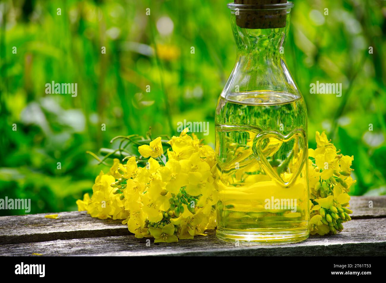 Fleurs de canola ou de colza jaune avec un petit décanteur d'huile en verre sur une table rustique Banque D'Images