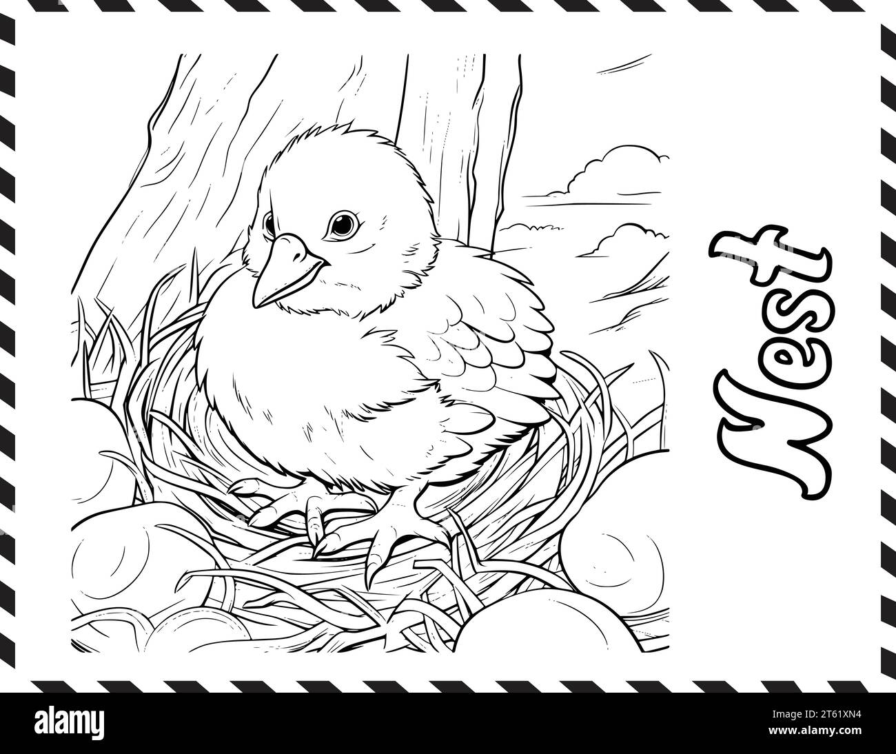 Baby birds in nest Banque d'images vectorielles Alamy