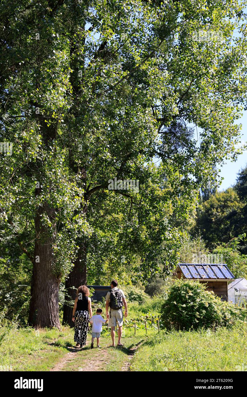 Promenade familiale, enfant, père et mère, le long de la rivière Vézère dans le département de la Corrèze. Nature, environnement, campagne, calme, détente Banque D'Images