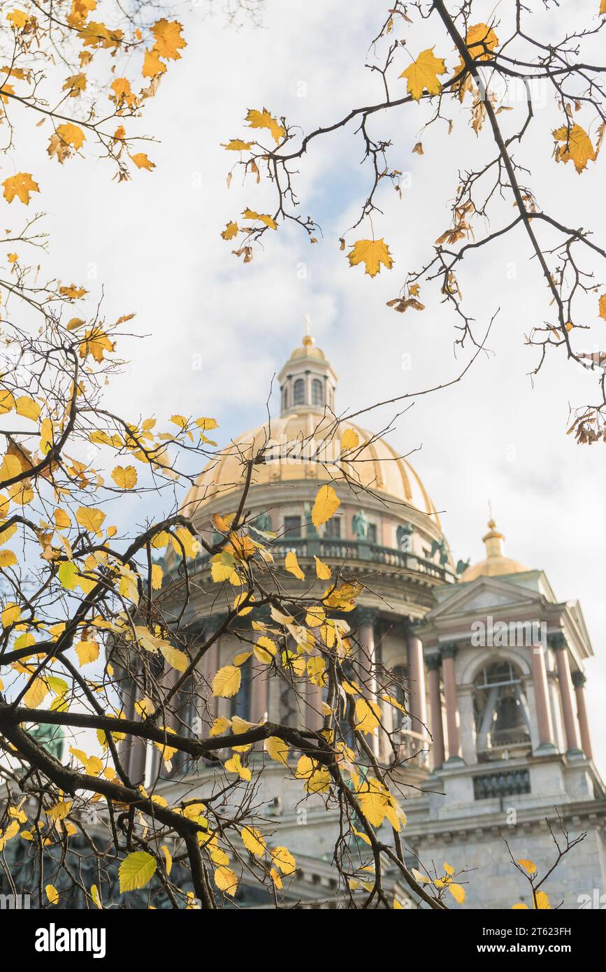 Vue rapprochée des feuilles jaunes d'automne et St. Cathédrale d'Isaac floue sur fond Banque D'Images