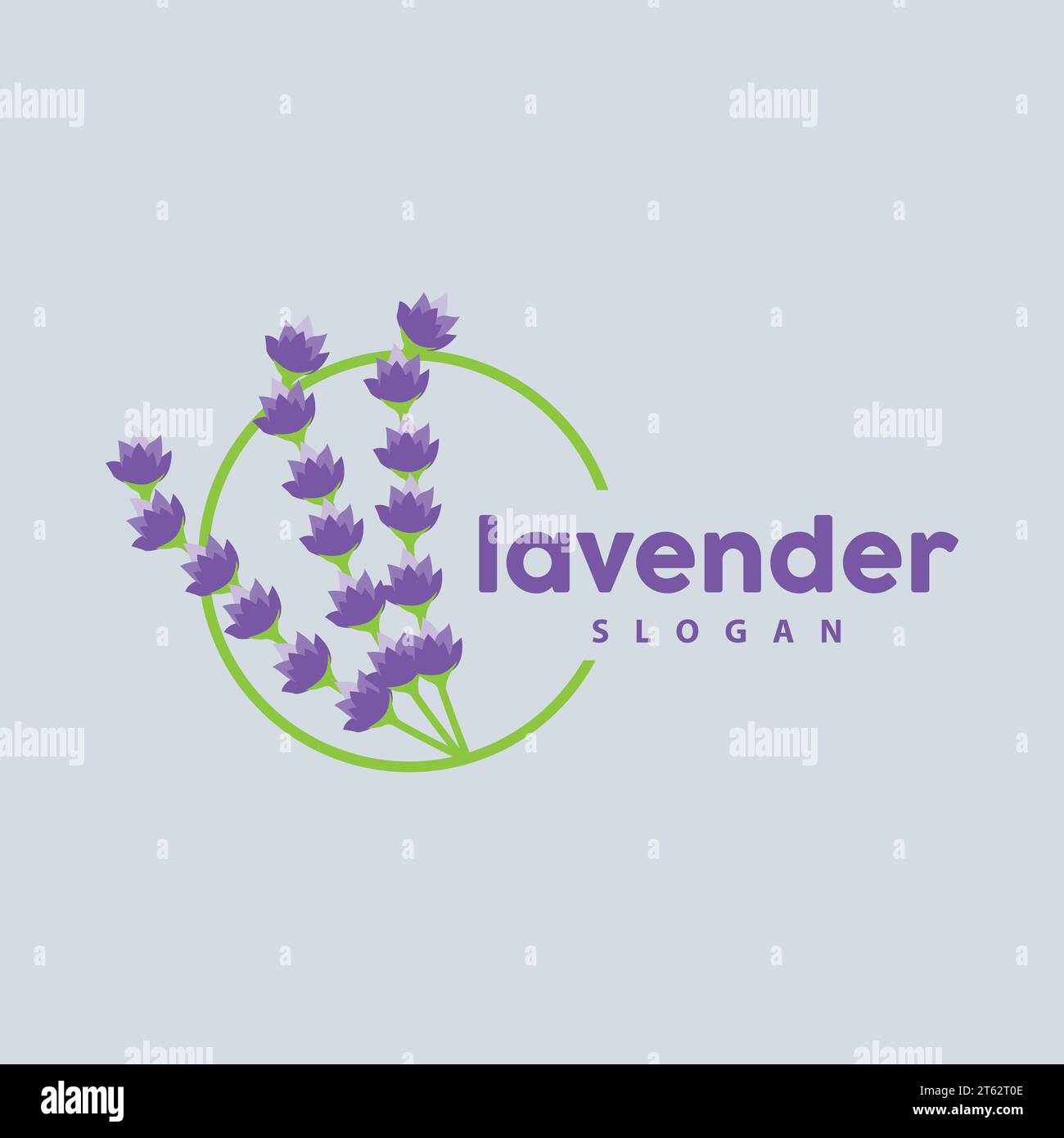 Logo de lavande, simple élégant vecteur de plante de fleur violette, conception de carte de voeux, bannière, ornement de fleur, mariage dessiné à la main de lavande, icône symbole Illu Illustration de Vecteur