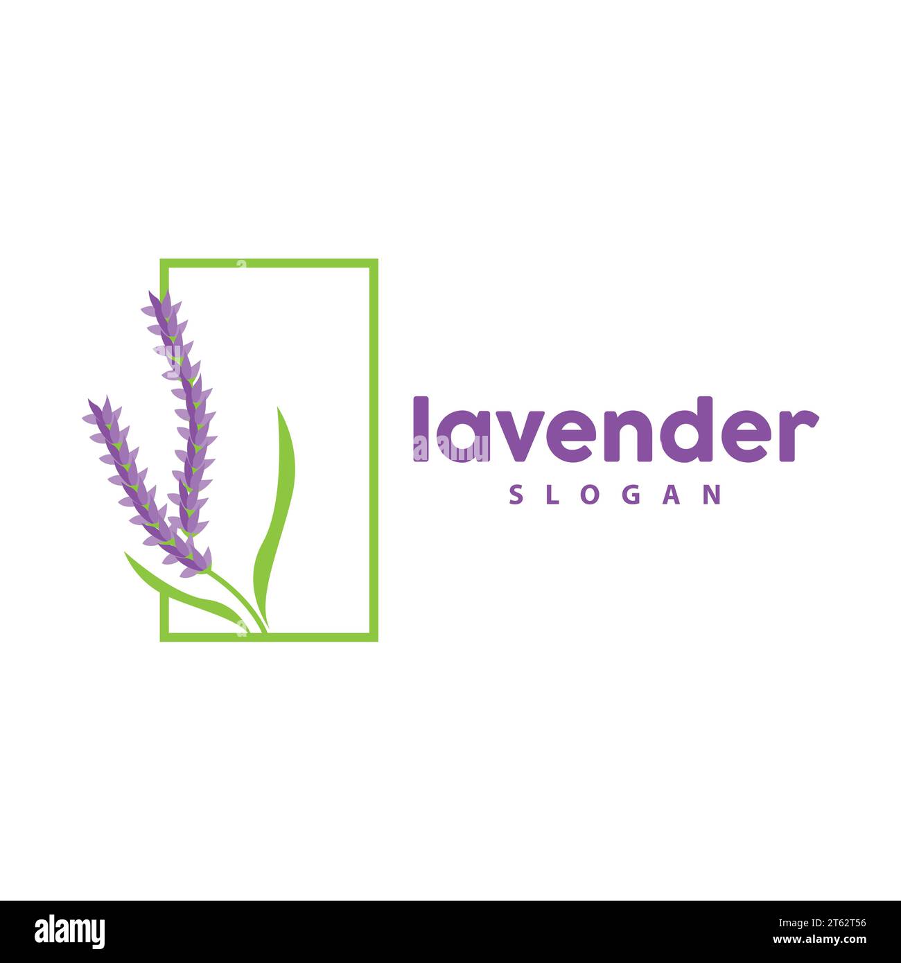 Logo de lavande, simple élégant vecteur de plante de fleur violette, conception de carte de voeux, bannière, ornement de fleur, mariage dessiné à la main de lavande, icône symbole Illu Illustration de Vecteur