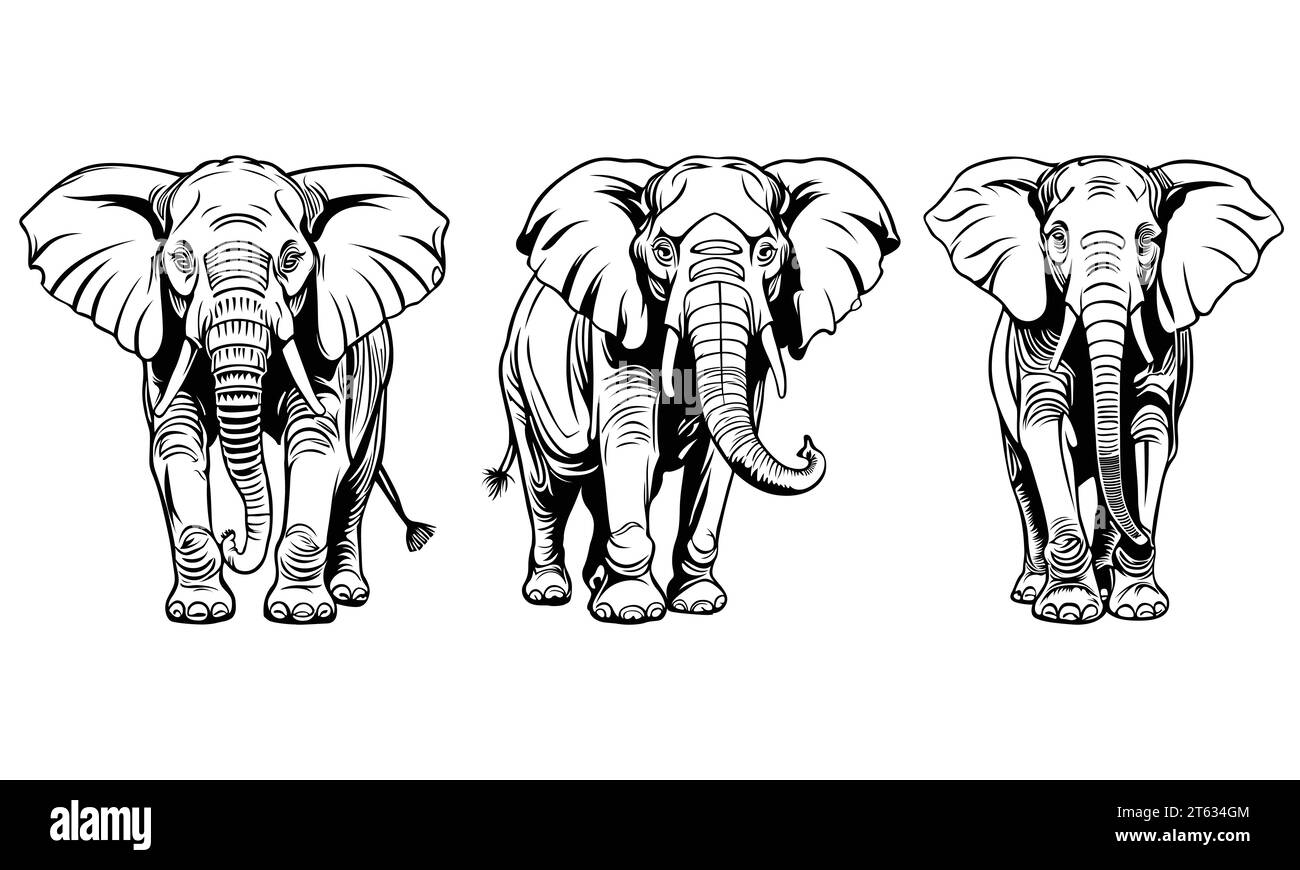 dessin de contour d'éléphant à l'aide d'un format vectoriel Illustration de Vecteur