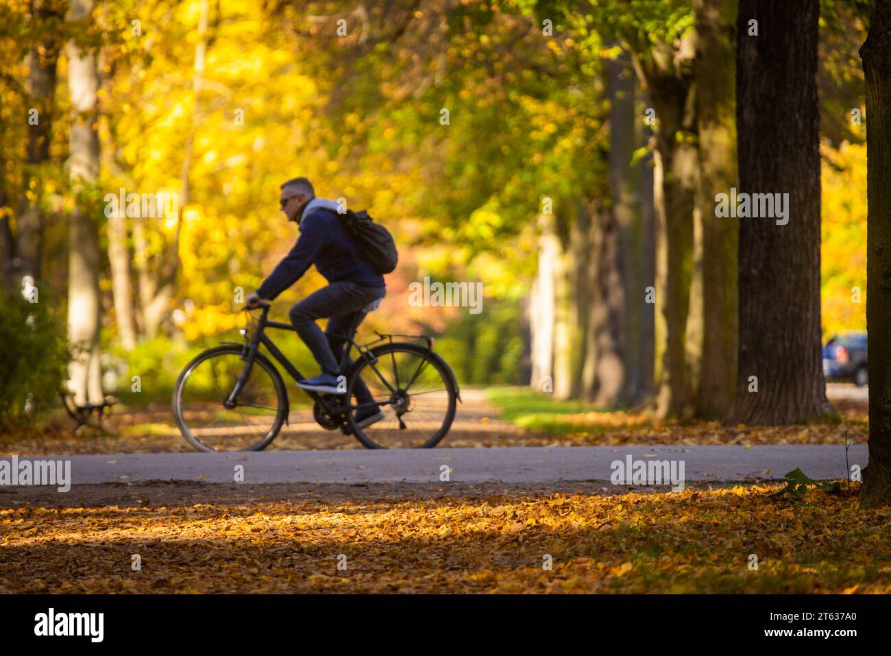 Grosser Garten im Herbst Der Große Garten in Dresden ist eine