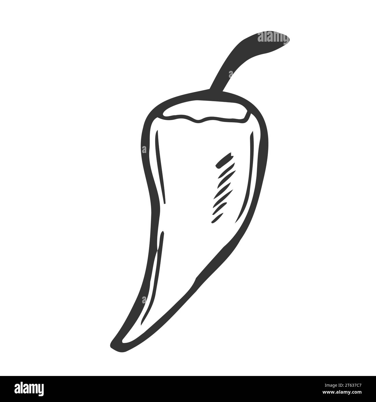 Poivre froid, illustration vectorielle dessinée à la main par Chili Vector. Légume bio frais, piment dans un style gravé. Dessin détaillé des aliments. Illustration de Vecteur