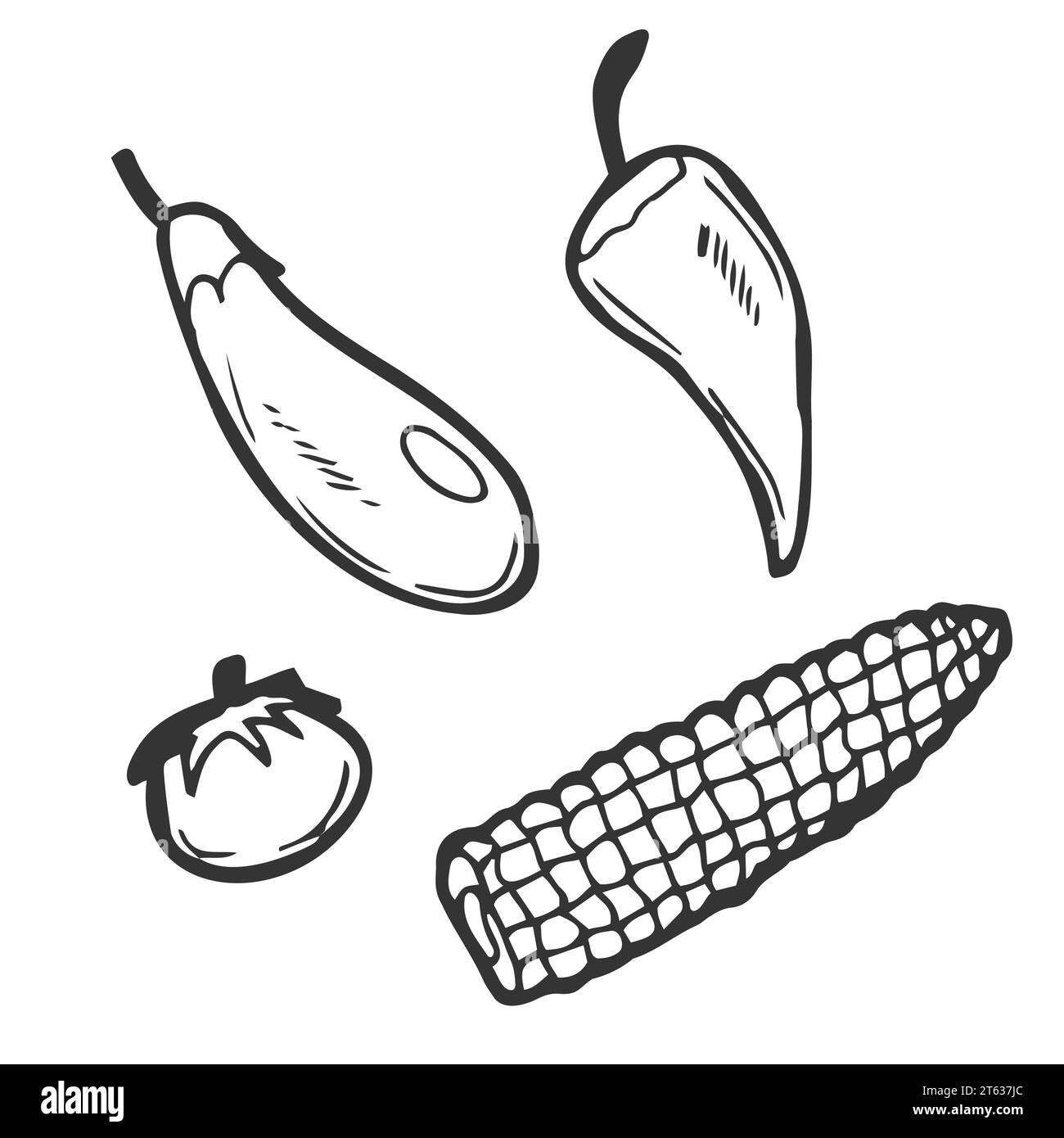 Collection de dessins de doodle de légumes. légumes tels que carotte, maïs, gingembre, champignon, concombre, chou pomme de terre etc Illustration de Vecteur