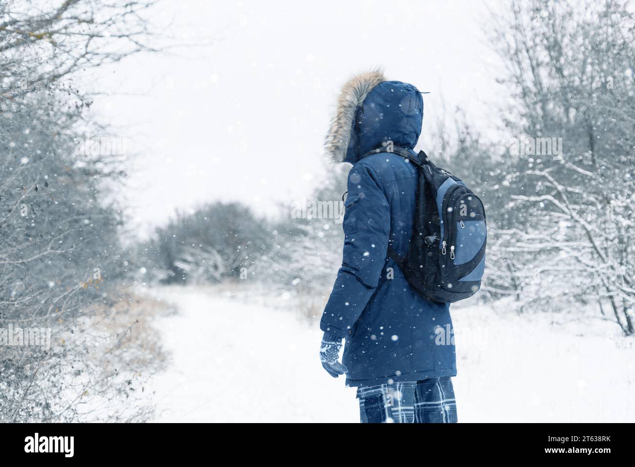 Vue arrière du voyageur dans une veste bleue avec une capuche en fourrure et un sac à dos sur le fond d'un paysage hivernal pendant les chutes de neige Banque D'Images
