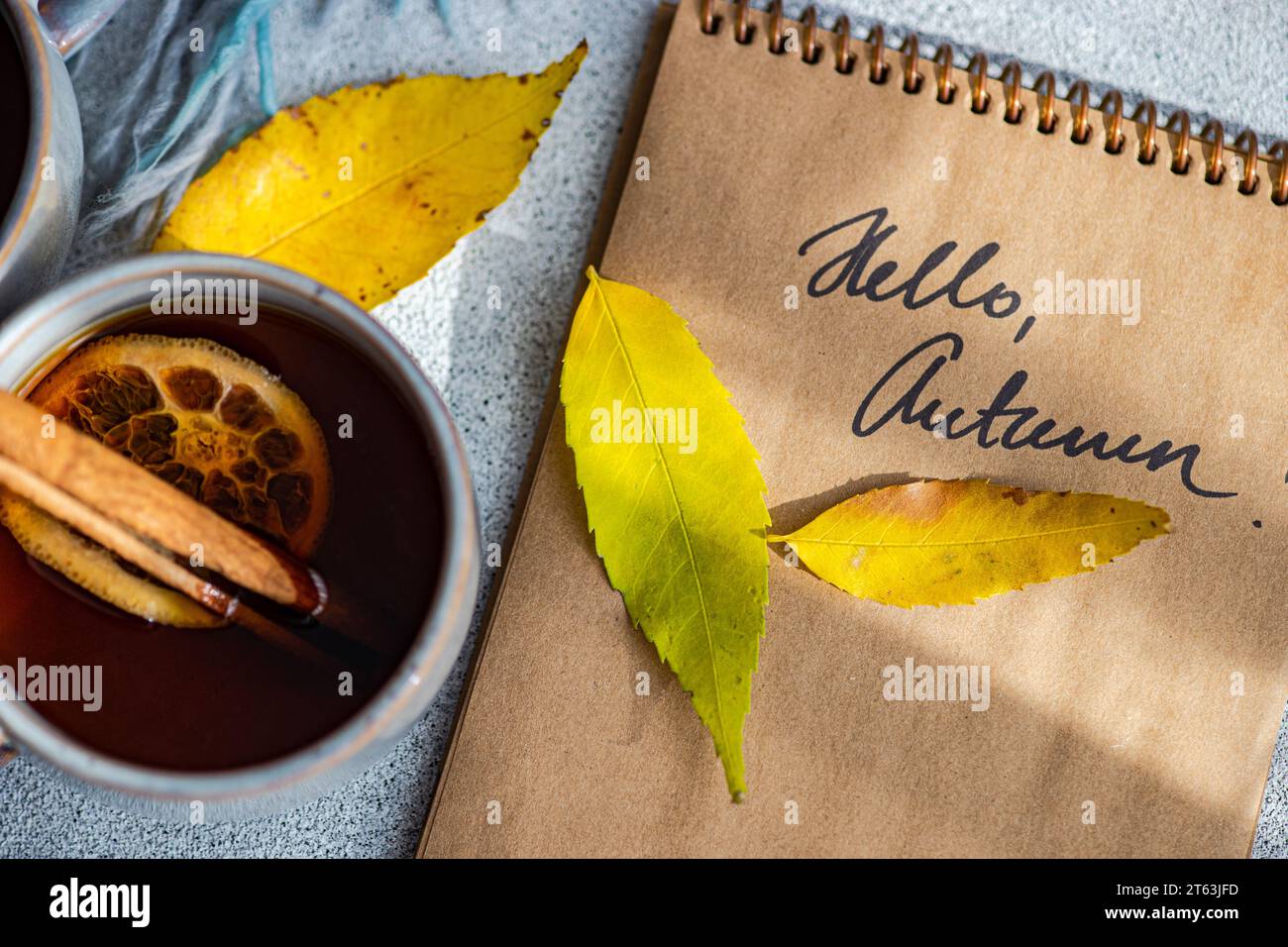 Vue de dessus de tasse de thé épicé avec des bâtons de cannelle et des tranches d'orange séchées accompagnées de feuilles d'automne jaune vif placés à côté d'un cahier avec la main Banque D'Images
