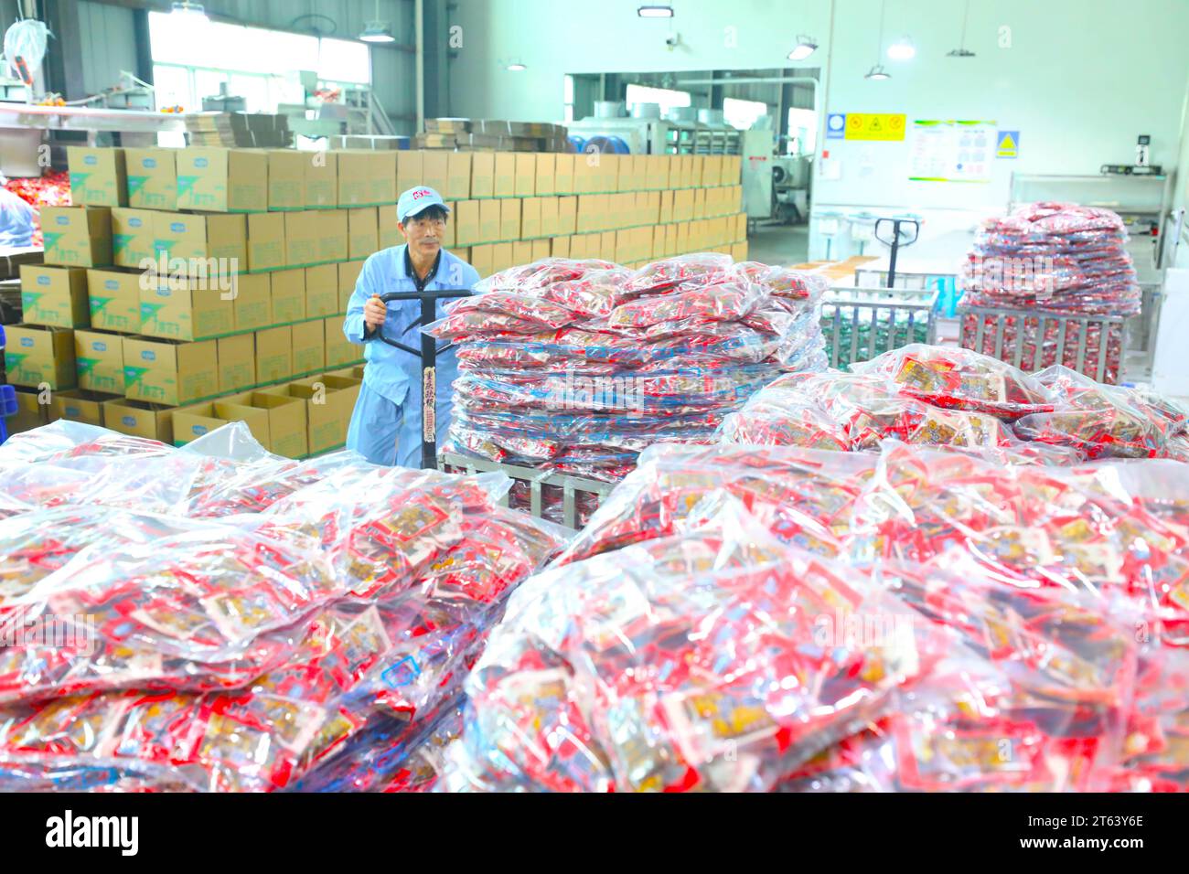 CHONGQING, CHINE - le 8 NOVEMBRE 2023 - un travailleur utilise un chariot élévateur pour transporter des plats préfabriqués emballés à Chongqing, en Chine, le 8 novembre 2023. Banque D'Images