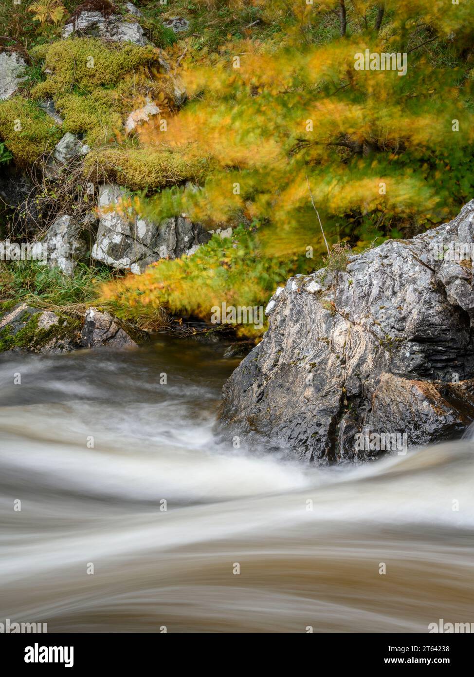 Une scène d'automne intime à côté de la rivière Inver. Banque D'Images