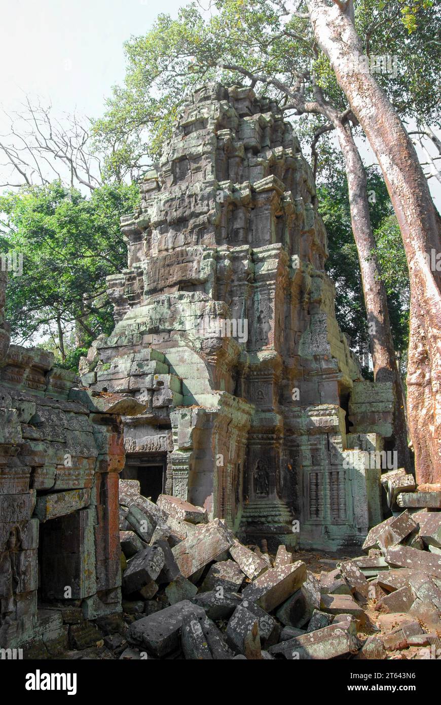 Ruines de la tour du temple de Ta Prohm. Angkor Thom. Cambodge Banque D'Images