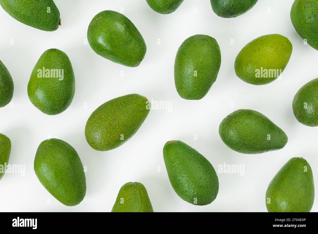 Avocats sur fond blanc. Pose à plat, vue de dessus. Concept de nourriture saine avec avocat. Banque D'Images
