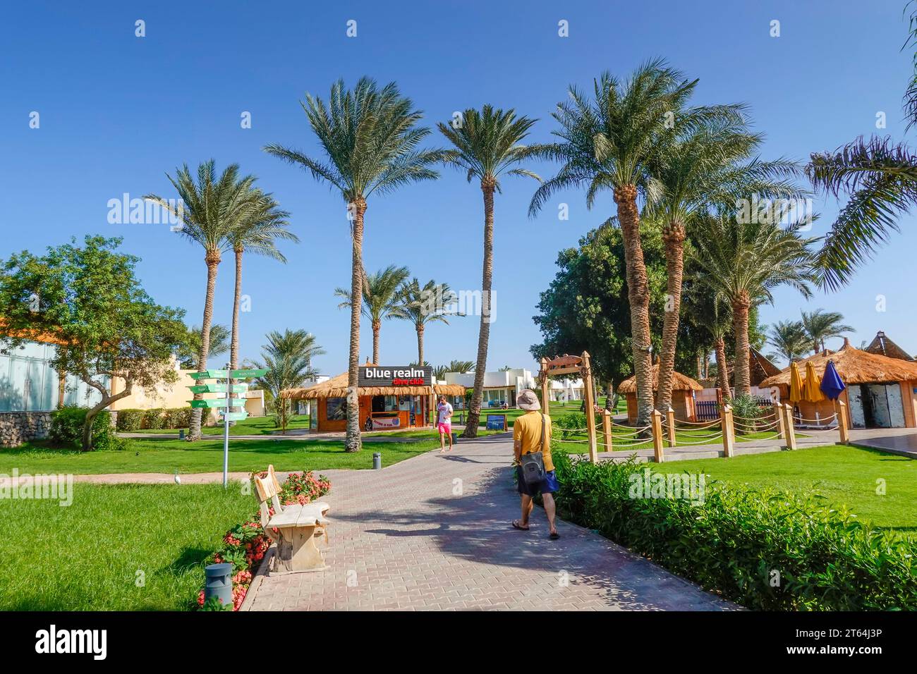 Hotelzimmer, Palmen, Hotelanlage Tirana, South Dahab, Sinaï, Ägypten Banque D'Images
