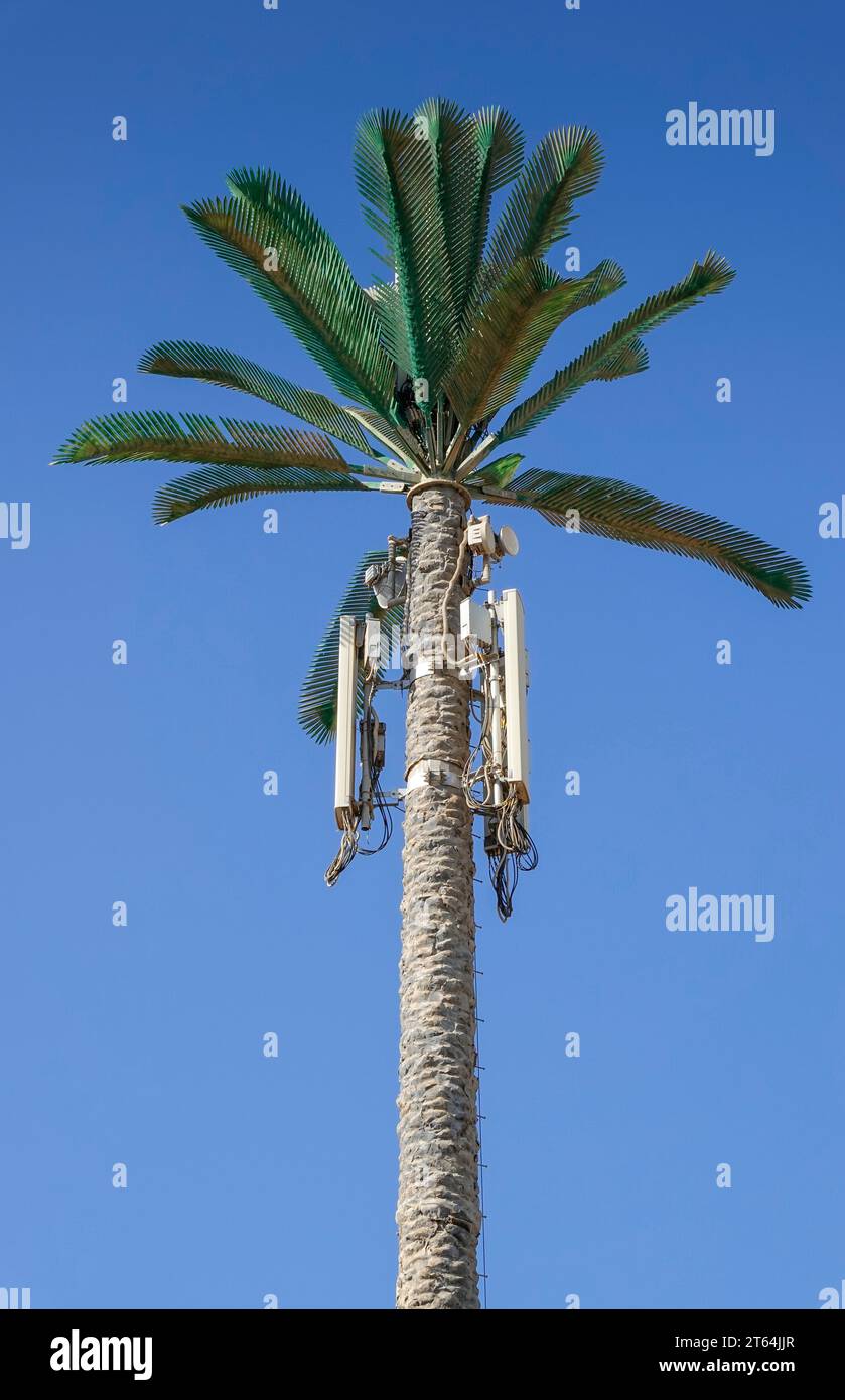Sendemast Mobilfunkantenne in Form einer Palme, Nachbildung, Dahab, Sinai, Ägypten Banque D'Images