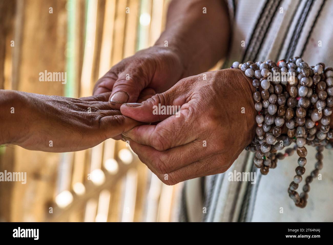 28 octobre 2019, Pérou. Homme de jungle péruvienne sage en médecine naturelle, de la communauté de Yaneshas, Oxapampa. Banque D'Images