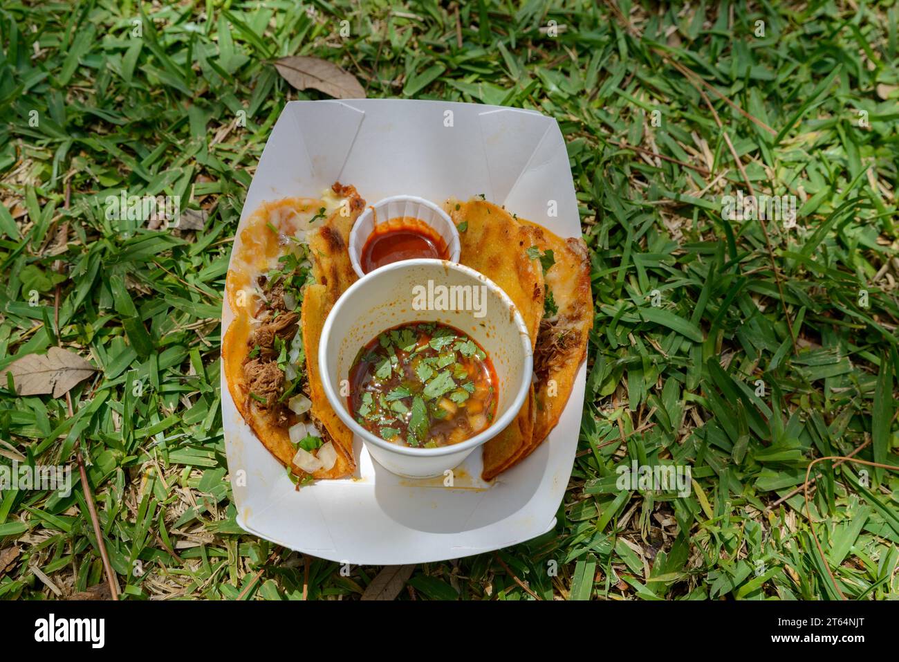 Gros plan de tacos birria avec du consome et de la sauce sur le sol au French Quarter Festival gratuit à la Nouvelle-Orléans, LA, USA Banque D'Images