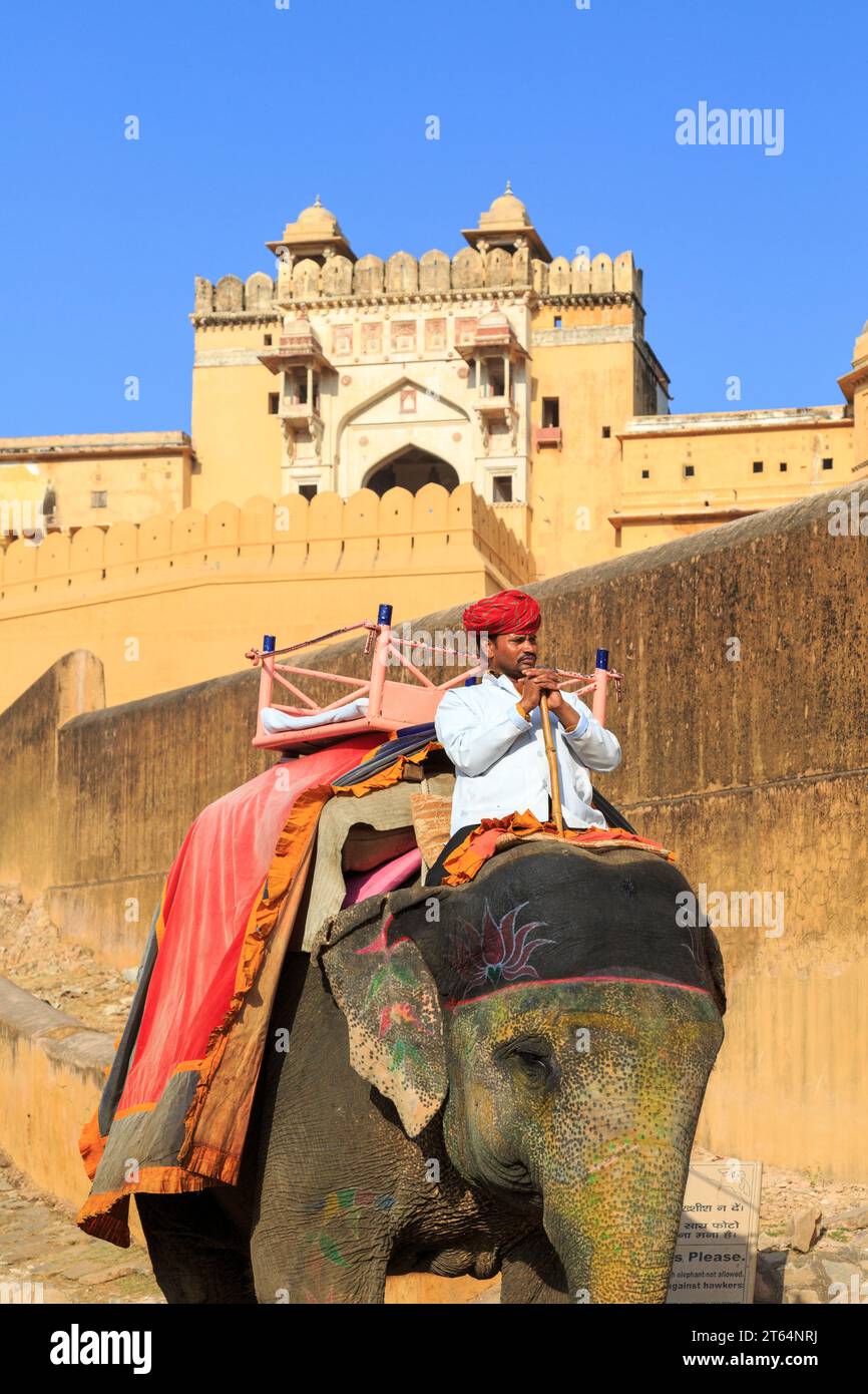 Festung von ambre, Fort Amber, Jaipur, Rajasthan, Indien Banque D'Images