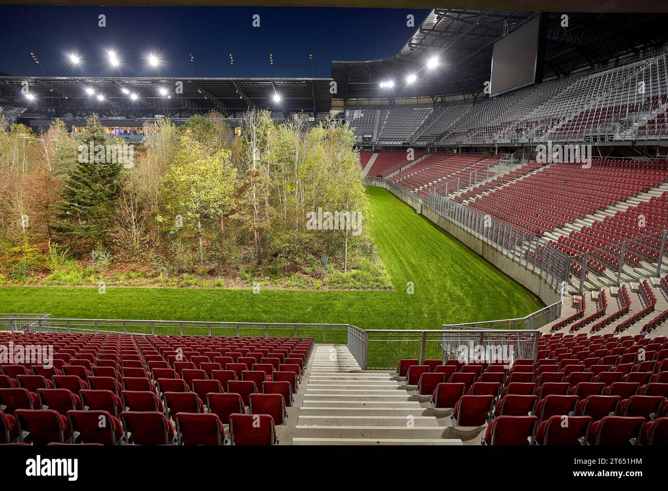 Projet artistique pour Forest, 2019, Lake Woerth Stadium, Klagenfurt, Carinthie, Autriche Banque D'Images