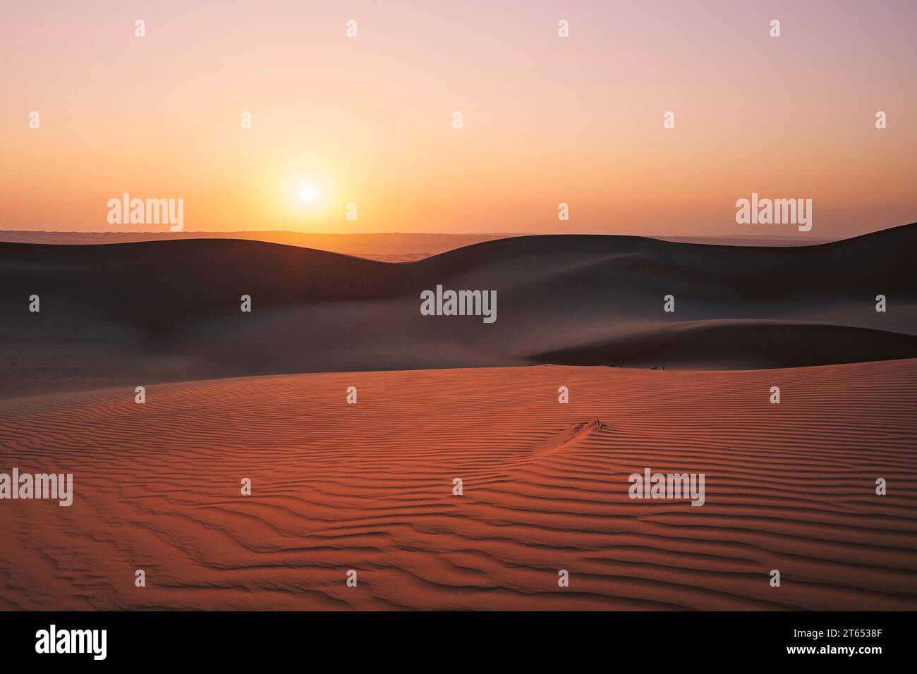 Dunes de sable contre ciel au lever du soleil. Désert de Wahiba Sands dans le Sultanat d'Oman. Banque D'Images
