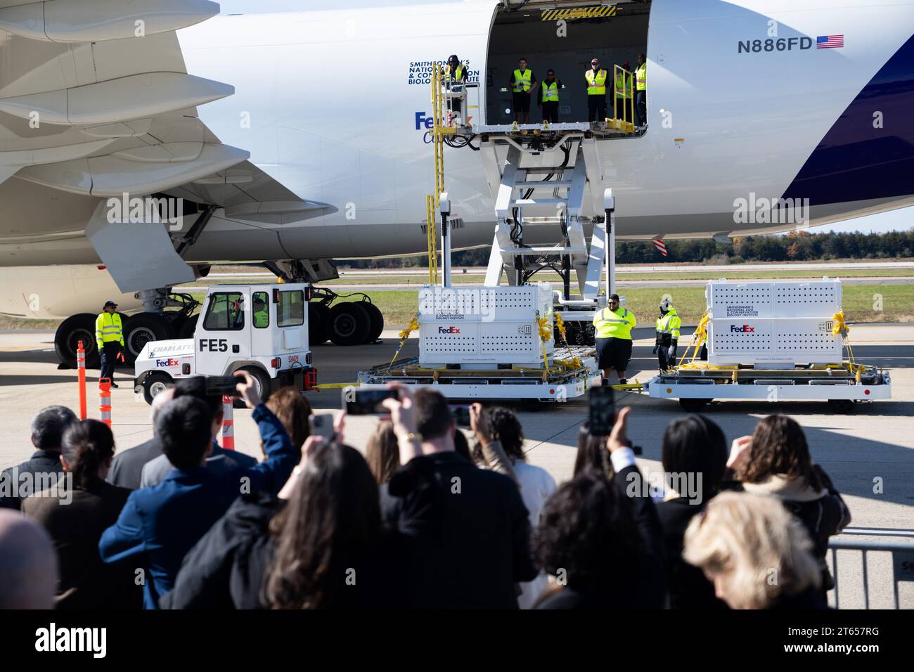 (231108) -- DULLES (États-Unis), 8 novembre 2023 (Xinhua) -- des caisses spéciales contenant des pandas géants sont prêtes à être chargées dans un avion à l'aéroport international de Dulles à Dulles, Virginie, États-Unis, le 8 novembre 2023. Les pandas géants Mei Xiang, Tian Tian et leur petit mâle Xiao Qi Ji ont quitté le zoo national Smithsonian à Washington, DC mercredi, terminant leur séjour aux États-Unis et embarquant pour un voyage de retour en Chine. Lors d'une brève cérémonie tenue au zoo, les gardiens ont escorté trois caisses spéciales contenant chacune un panda pour voyager sur Olmsted Walk devant les membres du prés Banque D'Images