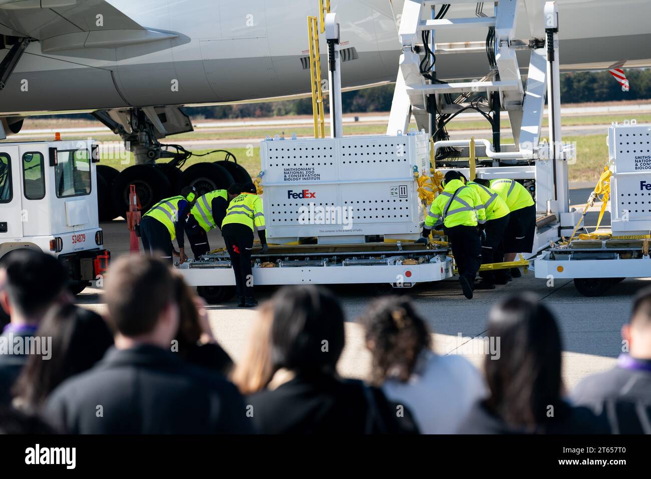 (231108) -- DULLES (États-Unis), 8 novembre 2023 (Xinhua) -- des caisses spéciales contenant des pandas géants sont prêtes à être chargées dans un avion à l'aéroport international de Dulles à Dulles, Virginie, États-Unis, le 8 novembre 2023. Les pandas géants Mei Xiang, Tian Tian et leur petit mâle Xiao Qi Ji ont quitté le zoo national Smithsonian à Washington, DC mercredi, terminant leur séjour aux États-Unis et embarquant pour un voyage de retour en Chine. Lors d'une brève cérémonie tenue au zoo, les gardiens ont escorté trois caisses spéciales contenant chacune un panda pour voyager sur Olmsted Walk devant les membres du prés Banque D'Images